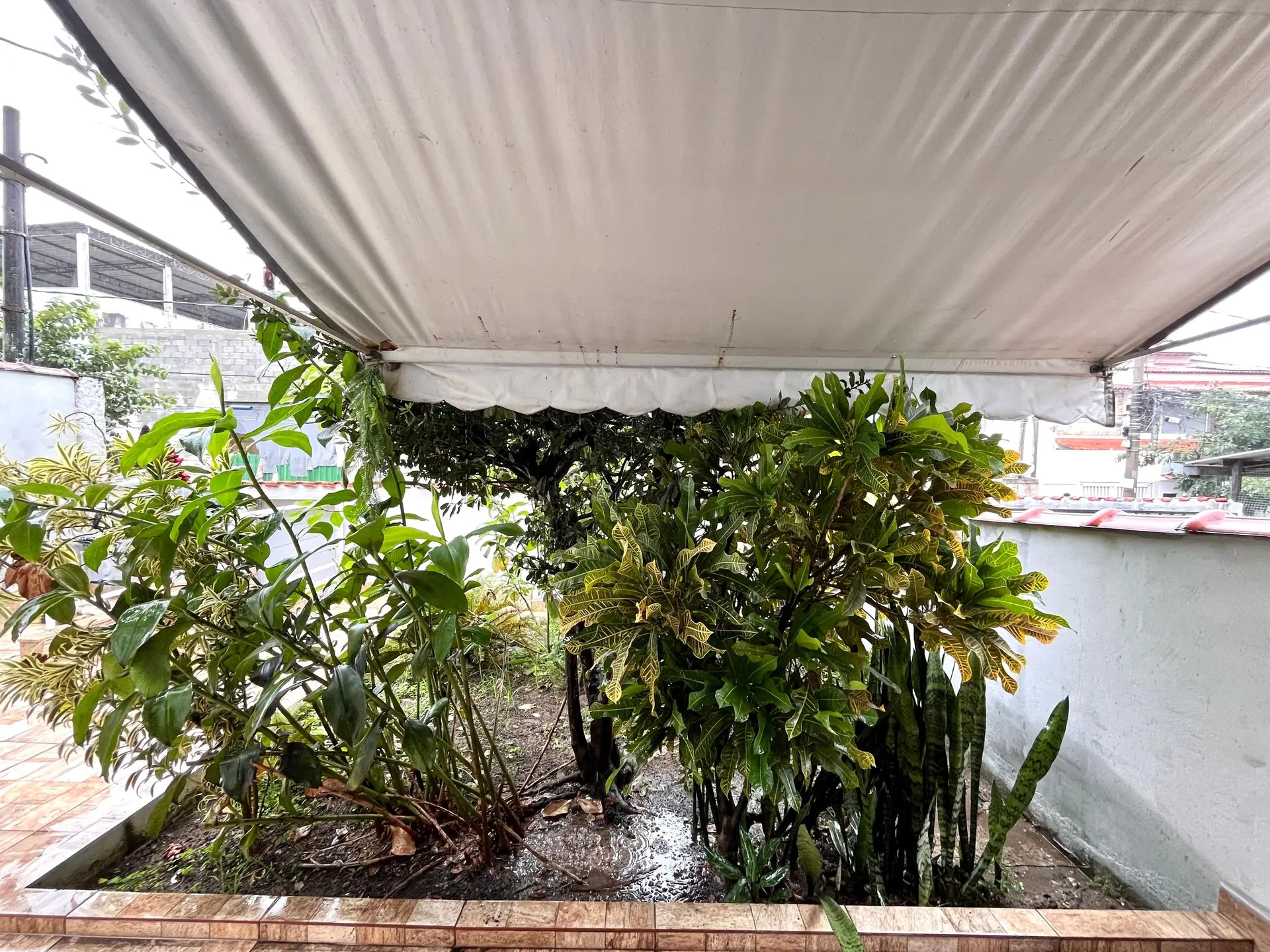 2-bedroom house with a garden in Rio de Janeiro — photo 17