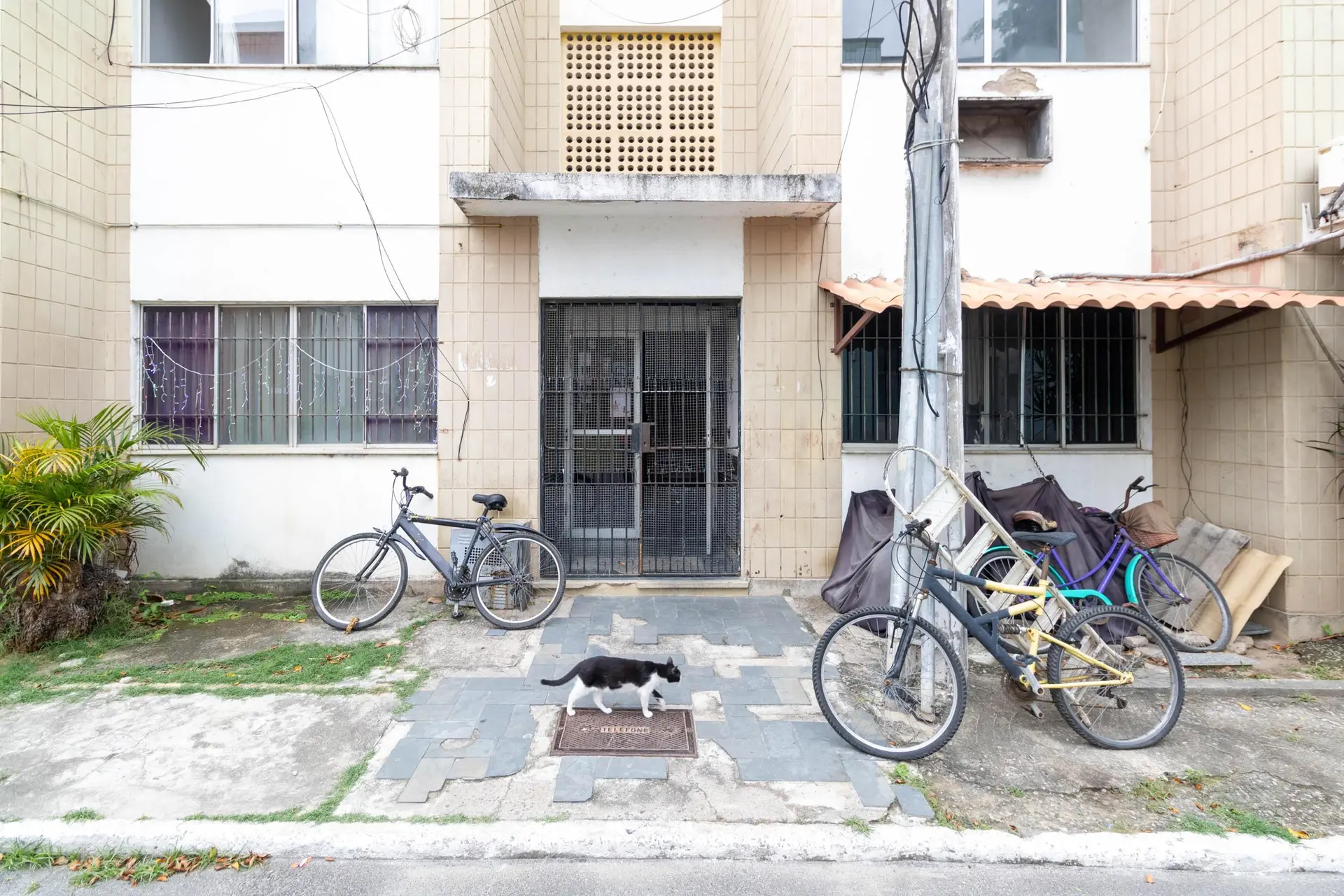 2-bedroom apartment in a building with a gym — photo 13