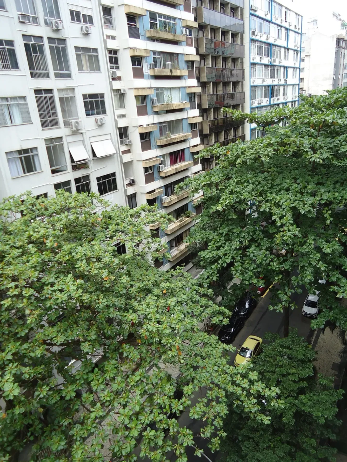 3-bedroom apartment with wood or laminate floors — photo 19