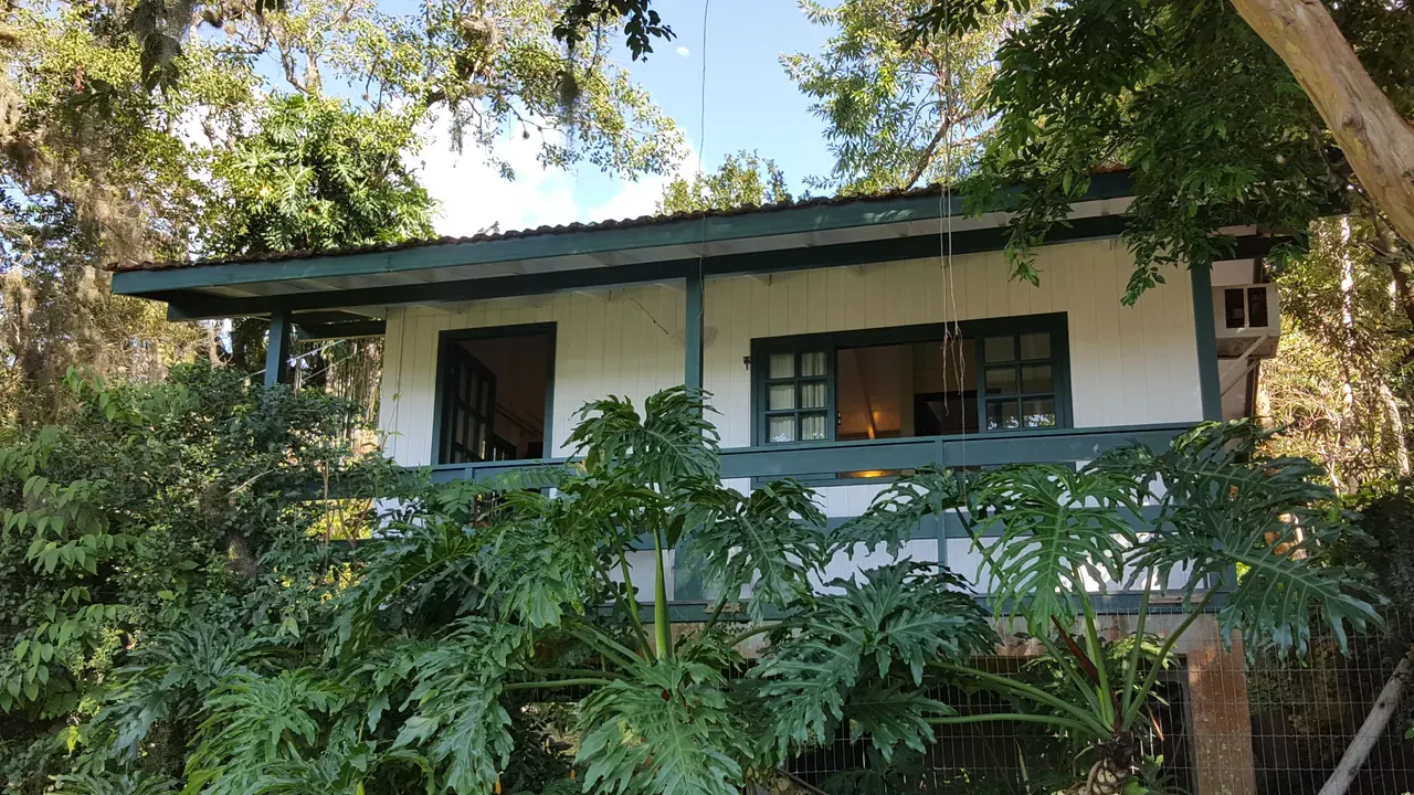 One-bedroom apartment with a home office in Florianópolis — photo 17