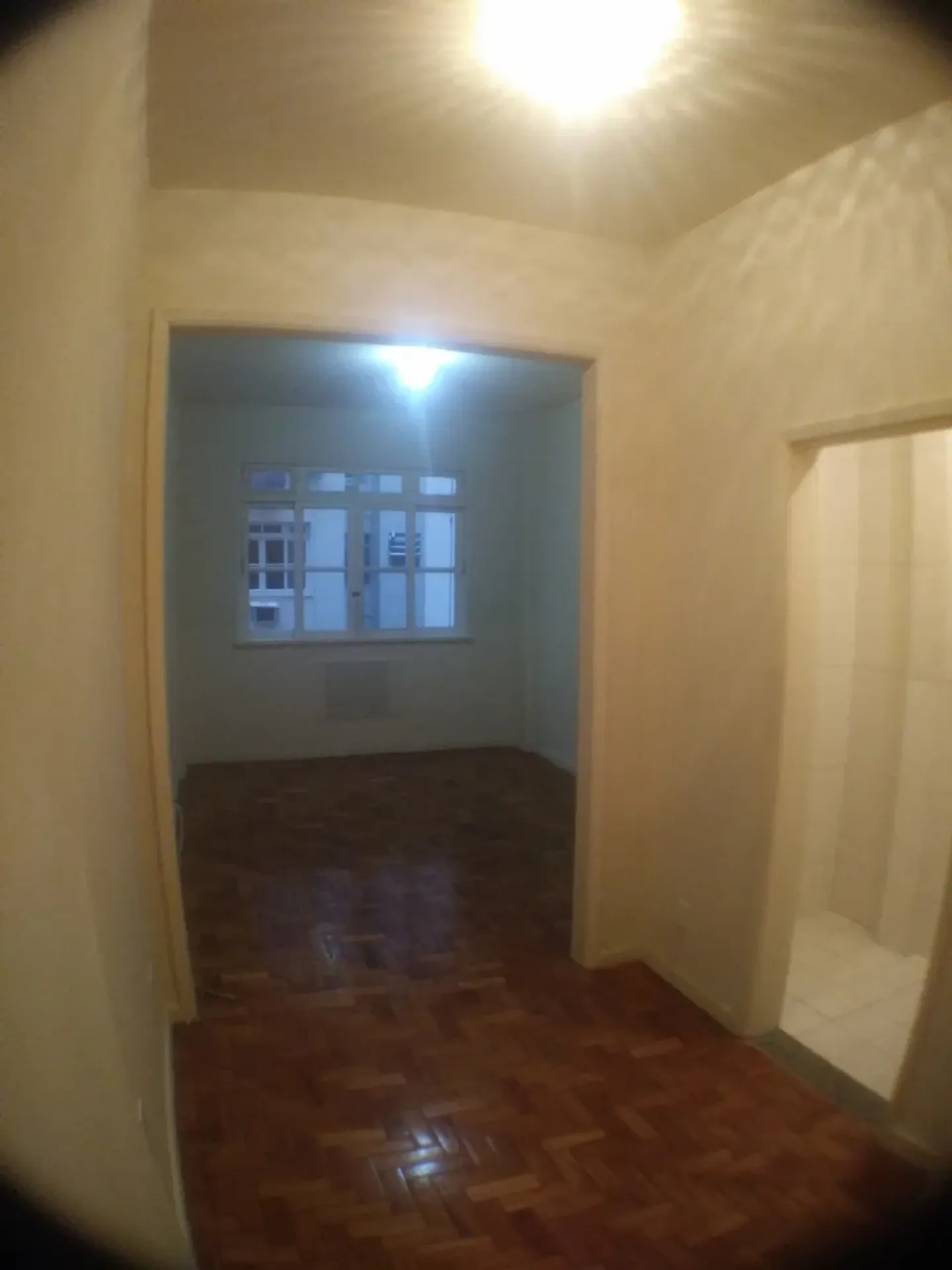 Studio on the 5th floor with wood or laminate floors — photo 7