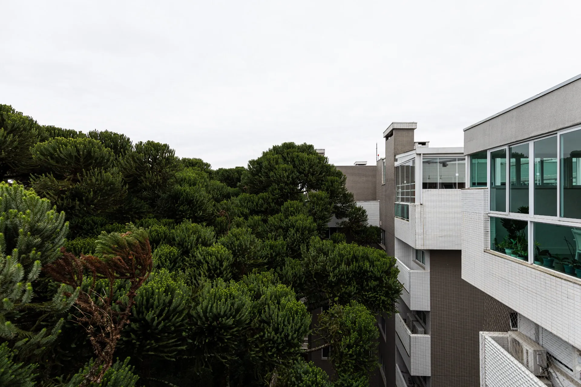 Apartment 432 m² with 3 bedrooms and an open-plan kitchen — photo 18