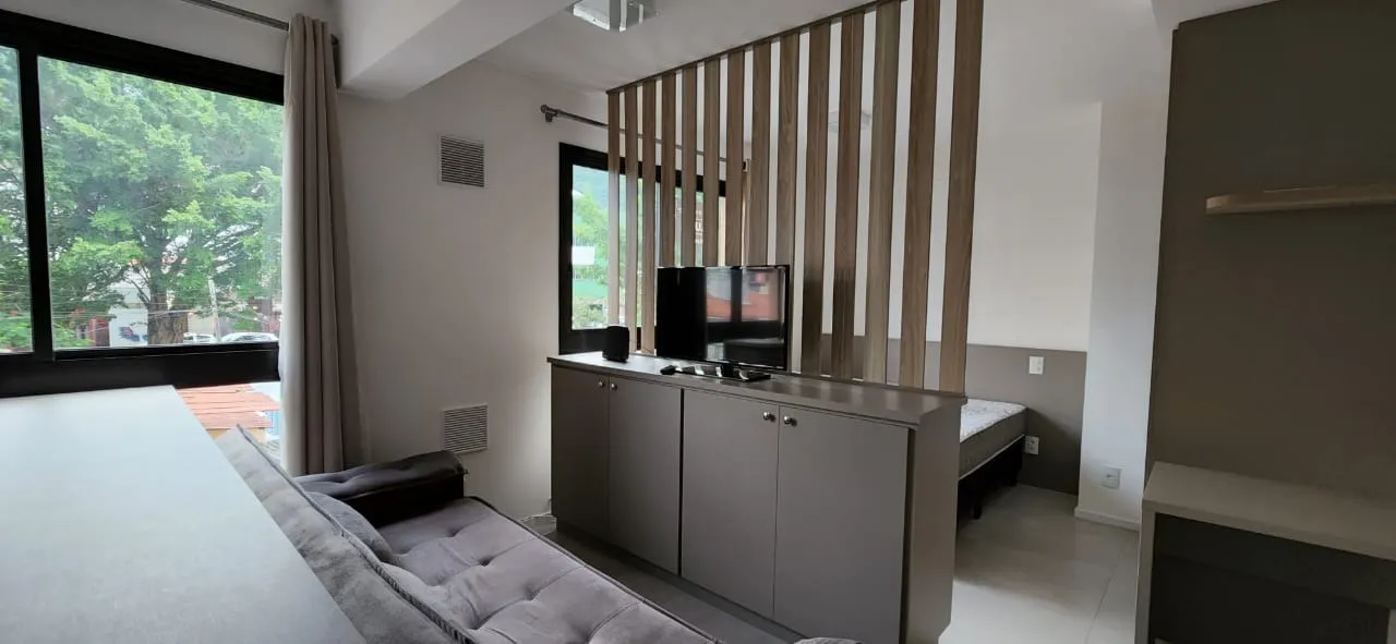 Furnished studio with an open-plan gas kitchen and AC