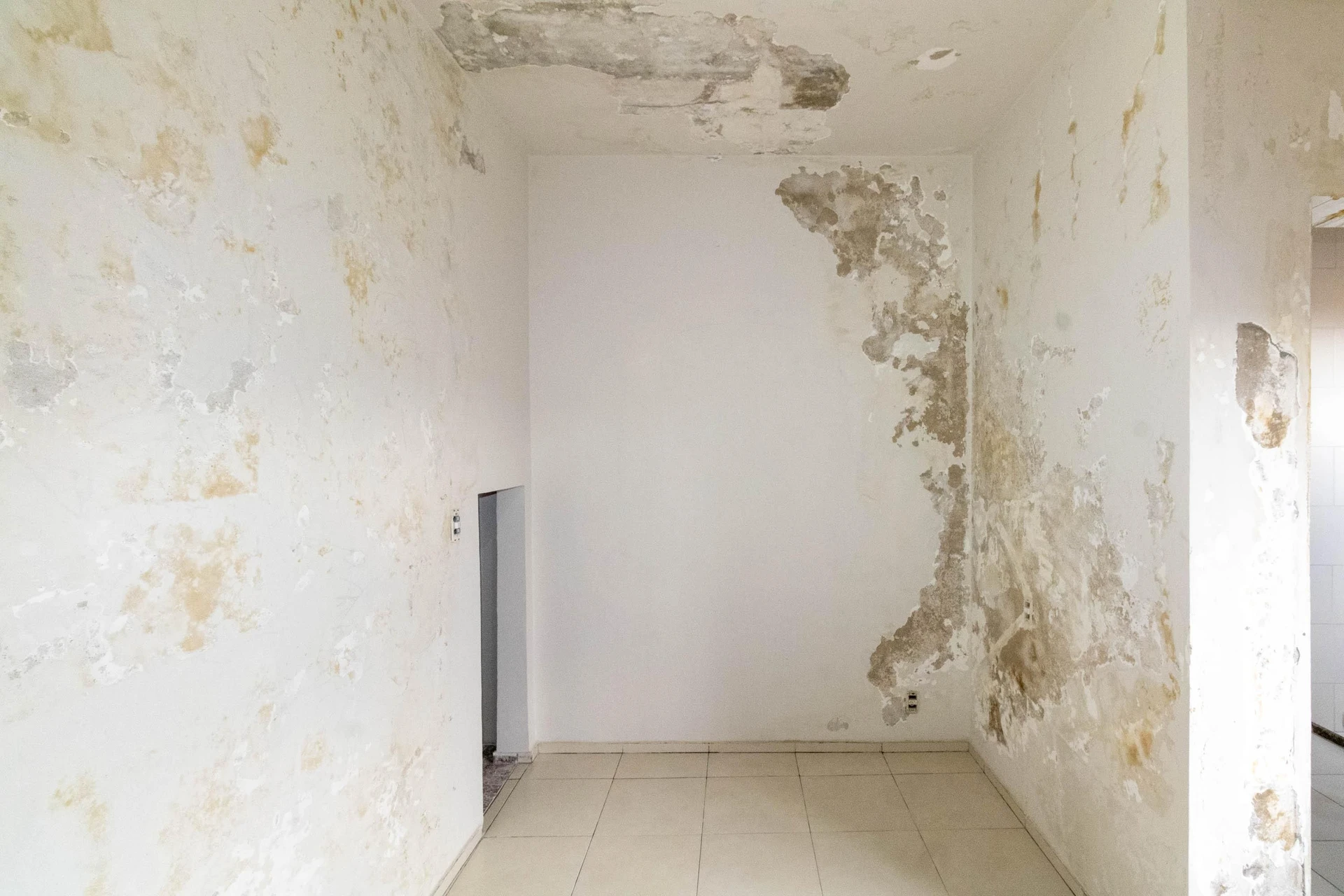 Мебльований будинок з 3 спальнями та 2 паркомісцями — photo 50