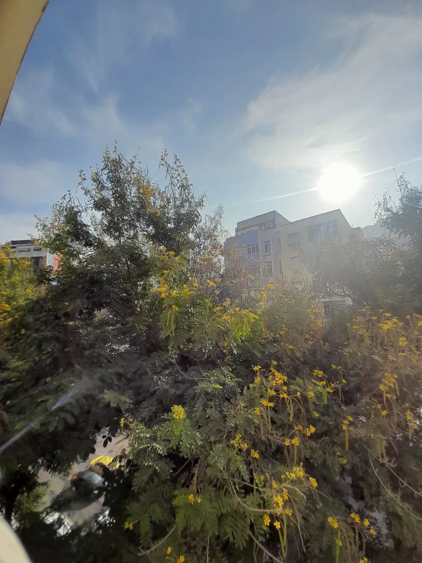 2-bedroom apartment with a park view — photo 25
