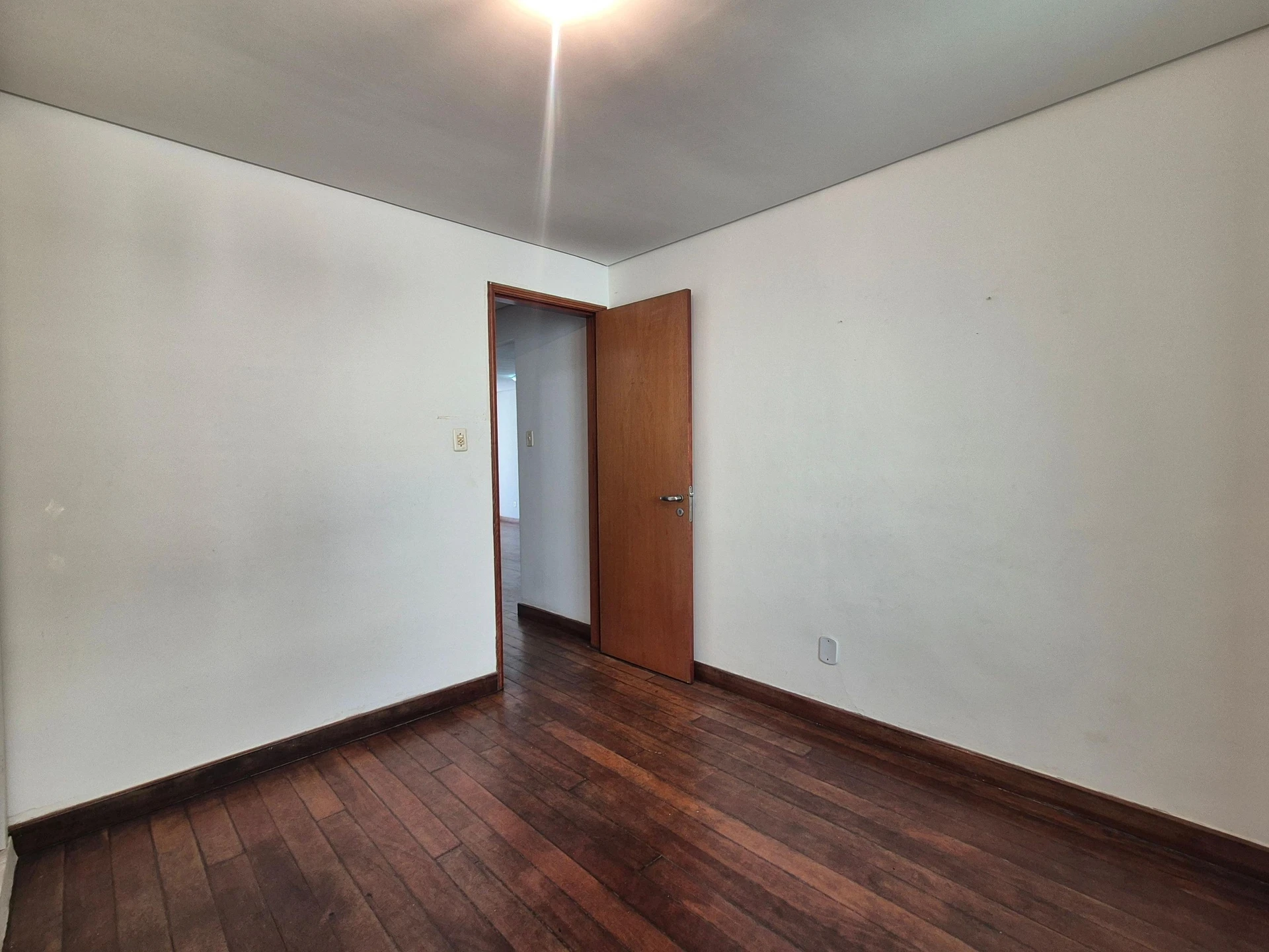 Apartamento com 2 quartos, suíte e varanda com animais — photo 25