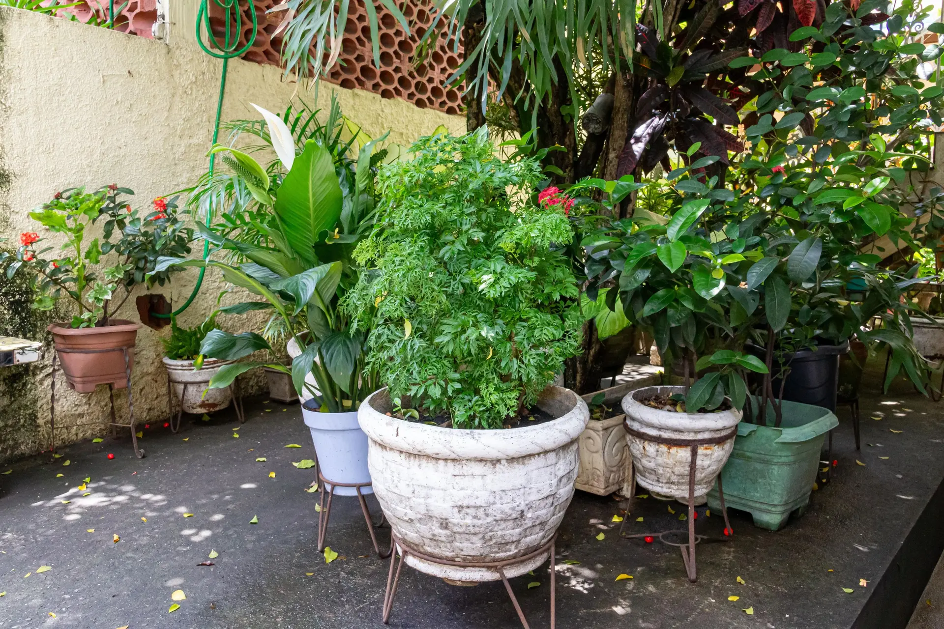 Casa com 3 quartos, 3 banheiros e jardim privativo — photo 118