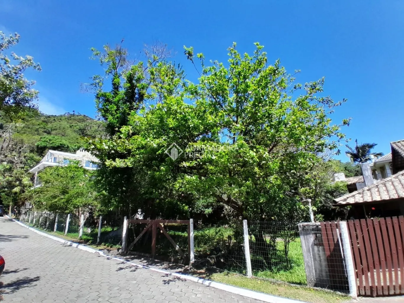 Unfurnished 4-bedroom house with 2 bathrooms and 860 m² — photo 30