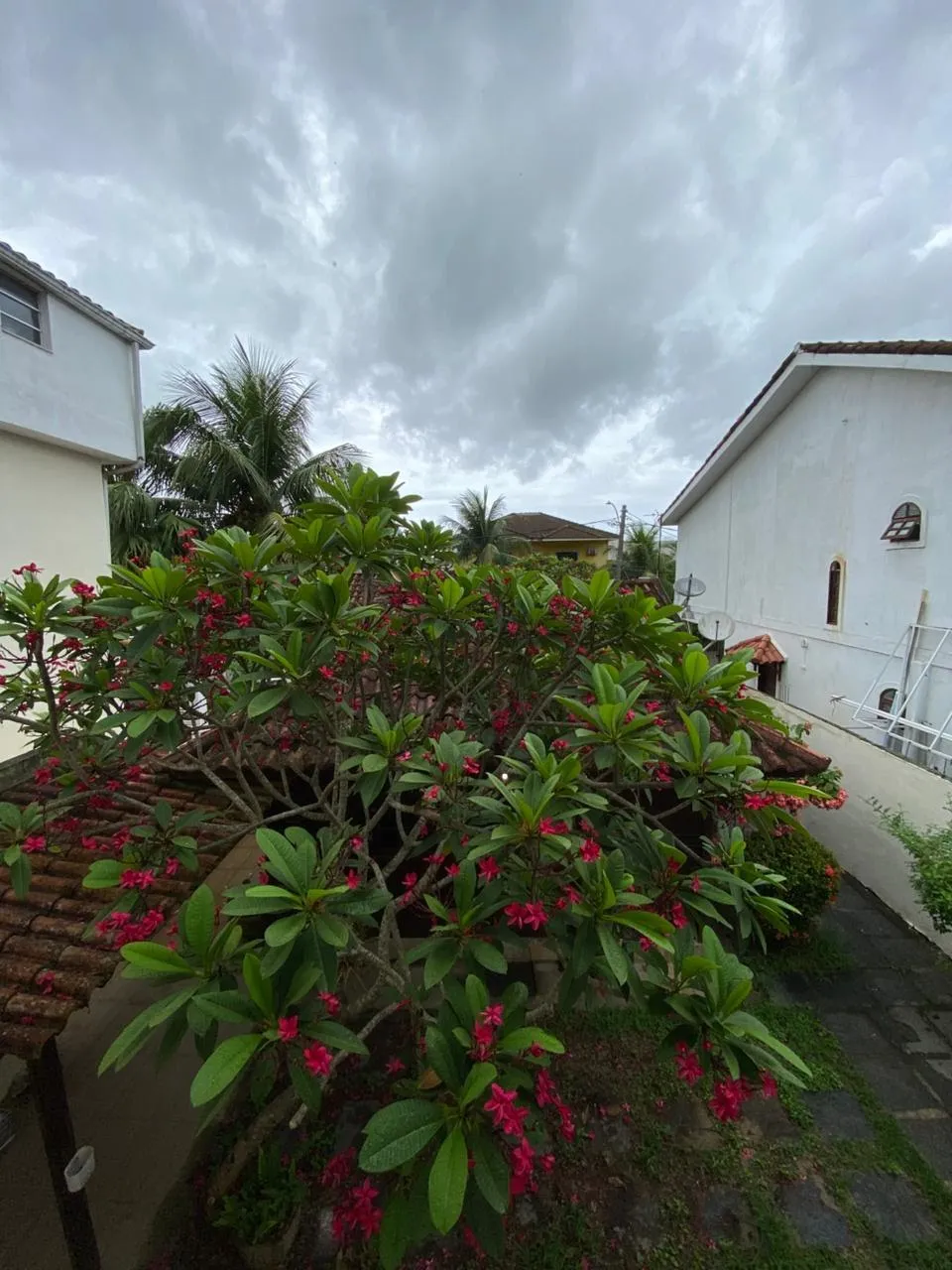 Casa com 4 quartos e 4 banheiros e box de vidro — photo 6