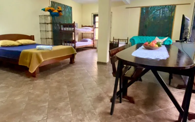 Ground-floor apartment with 70 m², 1 bedroom and 1 parking spot — photo 5