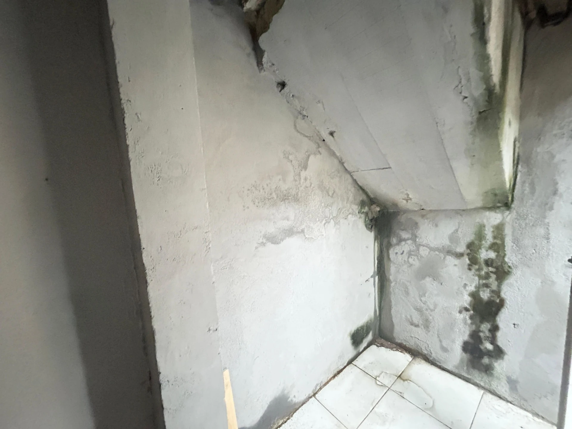 Меблированная квартира с 3 спальнями и 2 ванными — photo 28