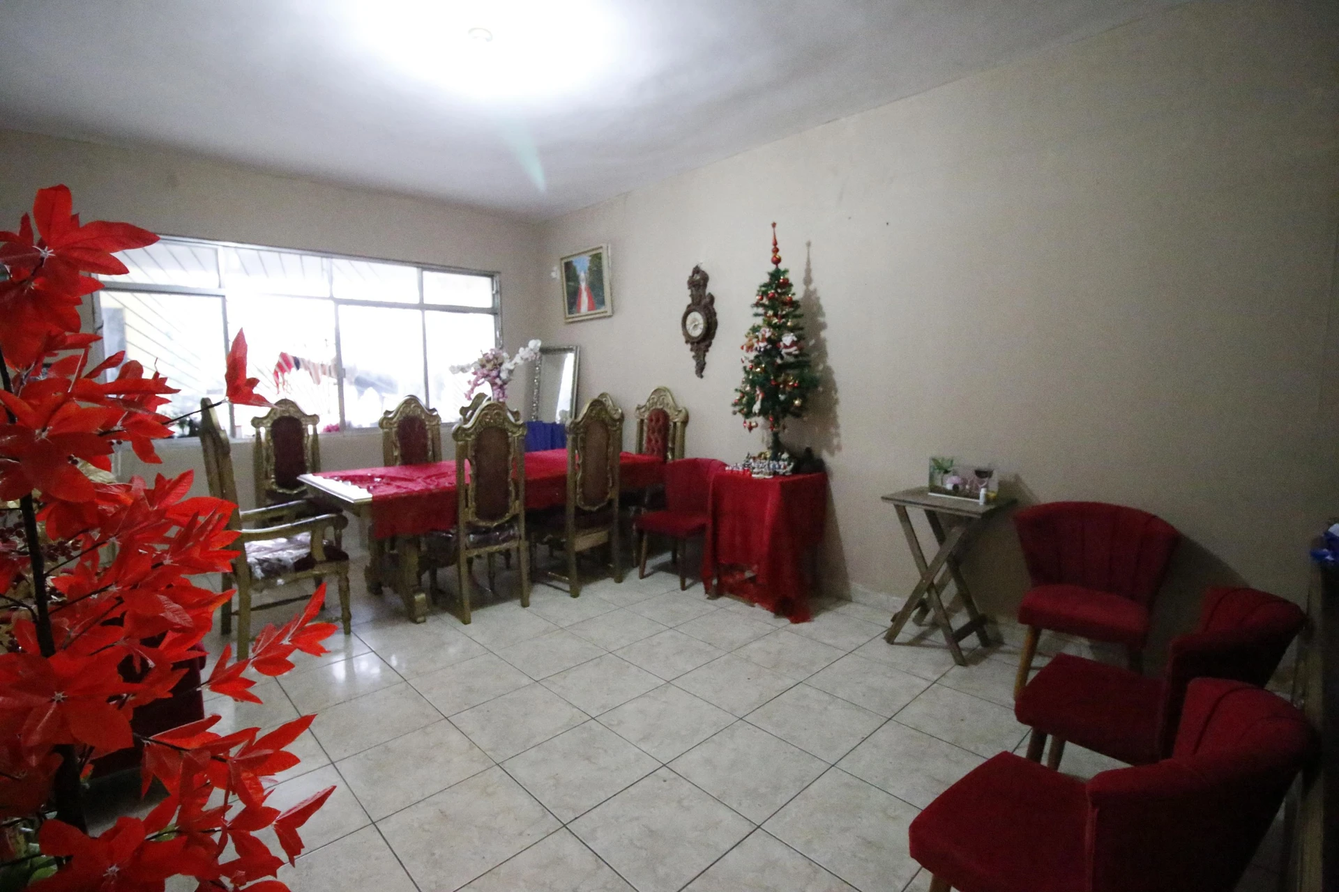 2 quartos e jardim: casa de 490 m² — photo 3