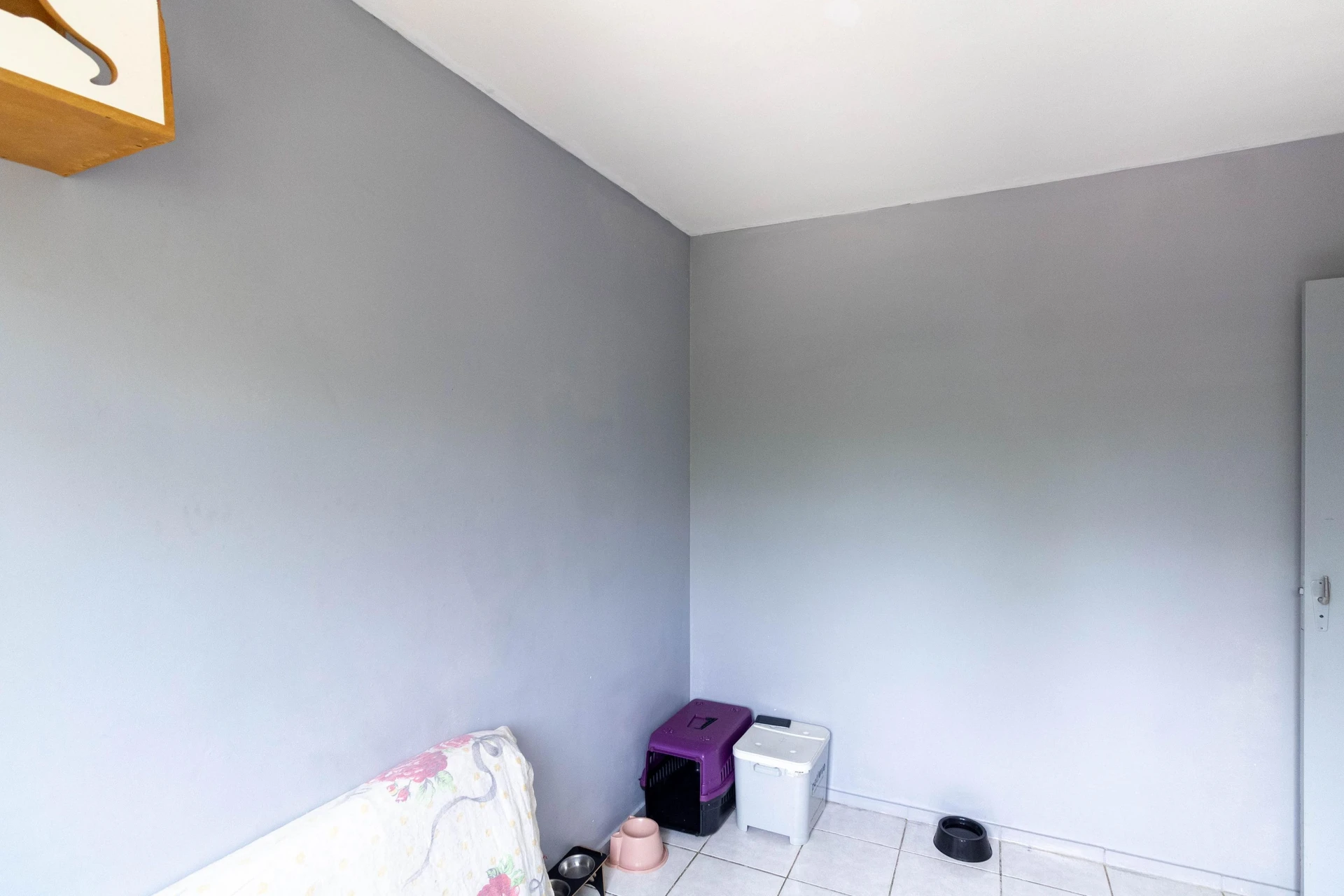 2-bedroom apartment in a building with a gym — photo 24
