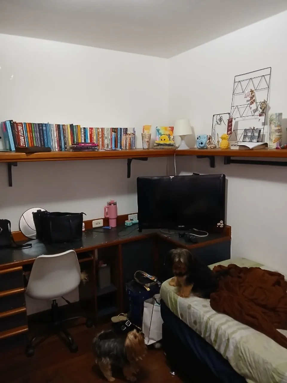 Furnished apartment, 120 m², with a park view — photo 6