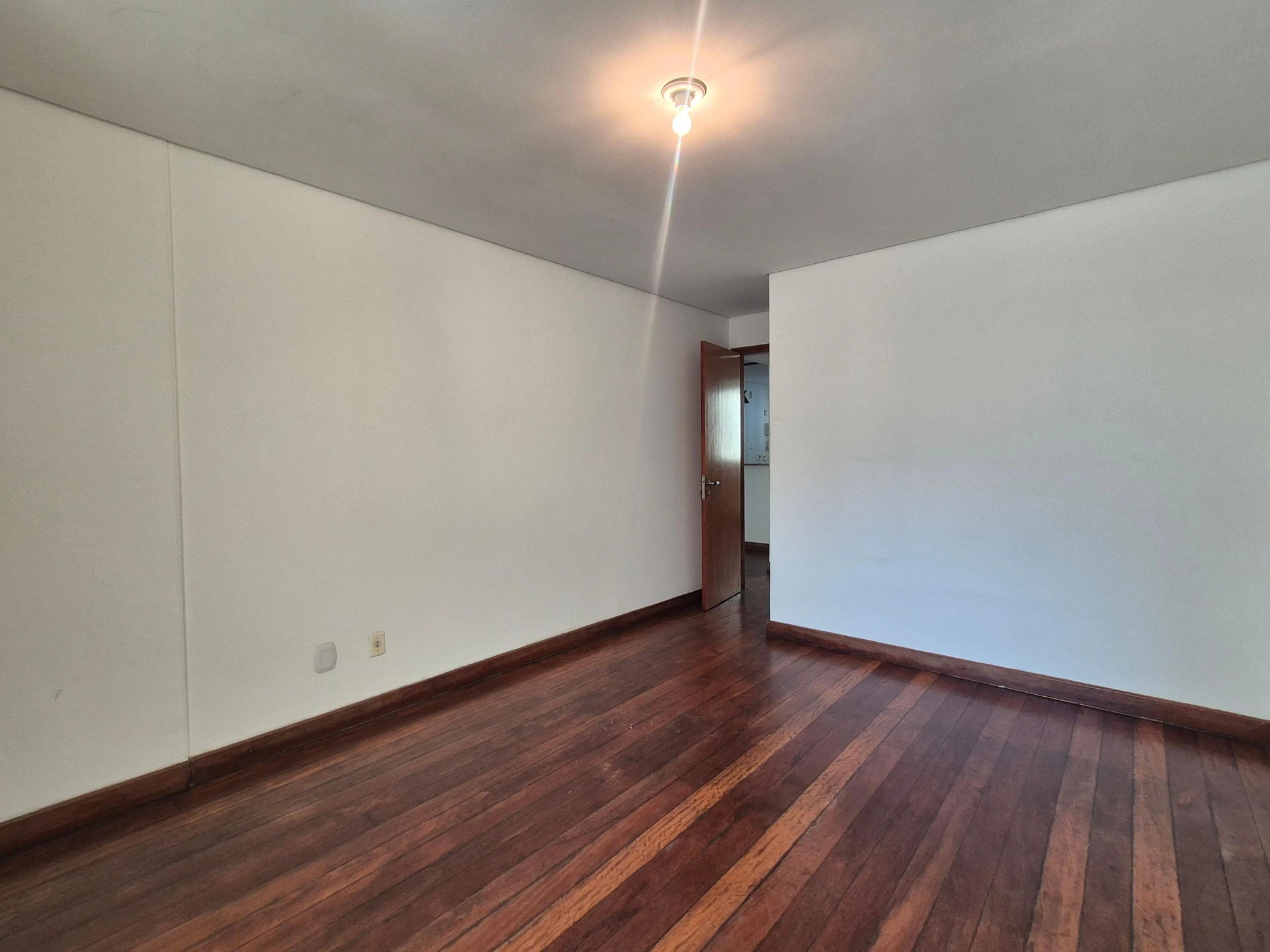 Apartamento com 2 quartos, suíte e varanda com animais — photo 27