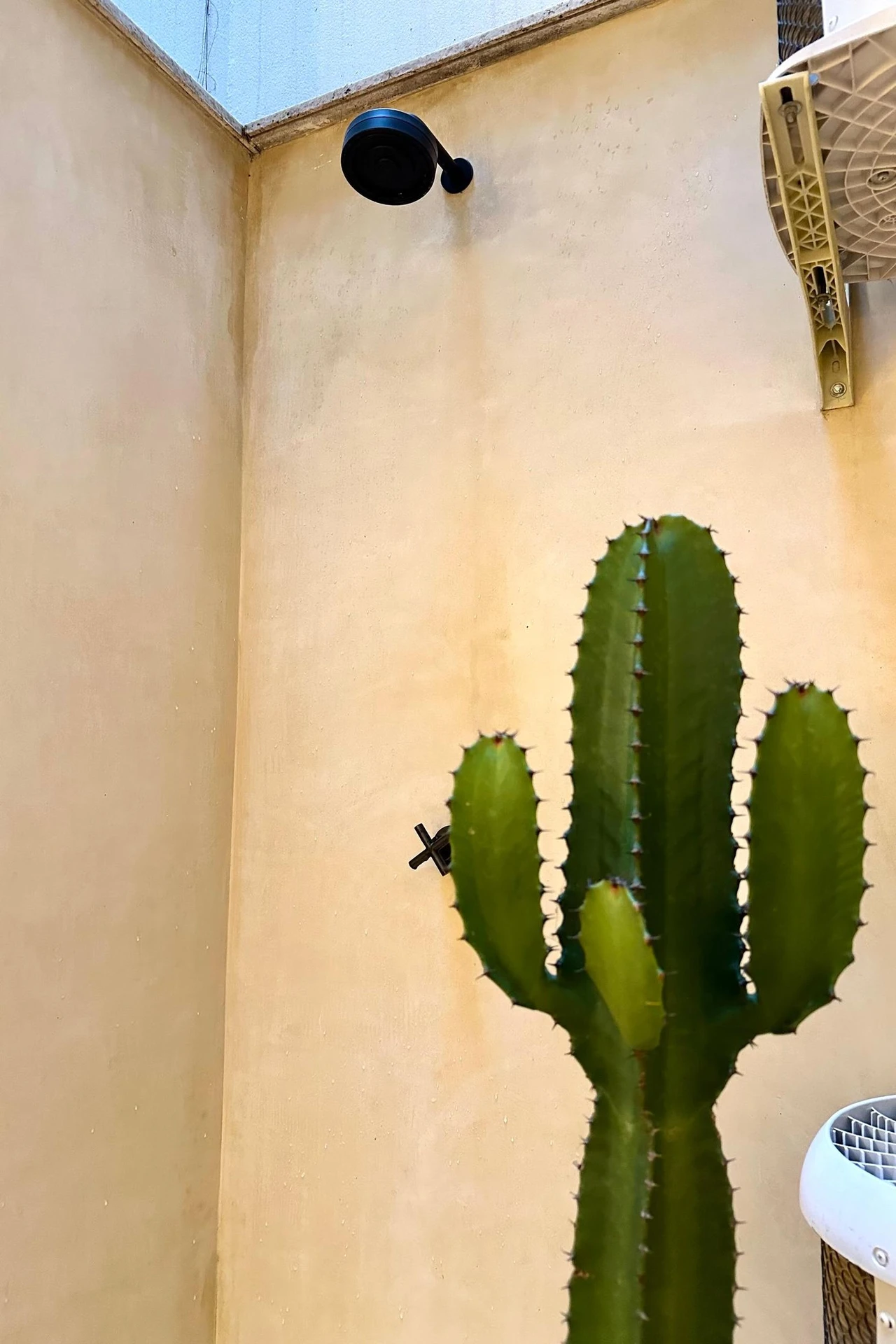 Apartamento de 1 quarto com varanda gourmet, Lagoa — photo 33