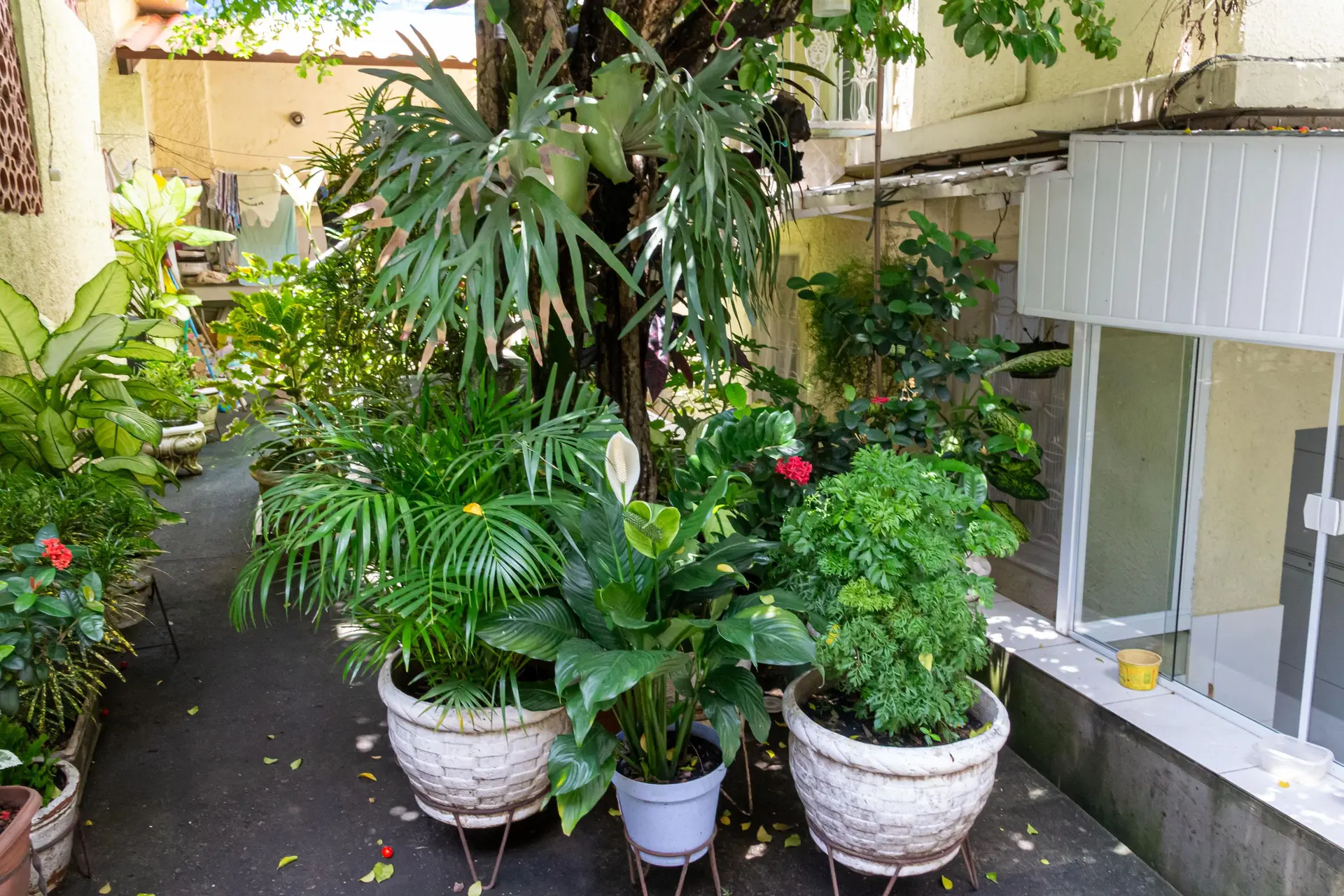 Casa com 3 quartos, 3 banheiros e jardim privativo — photo 121
