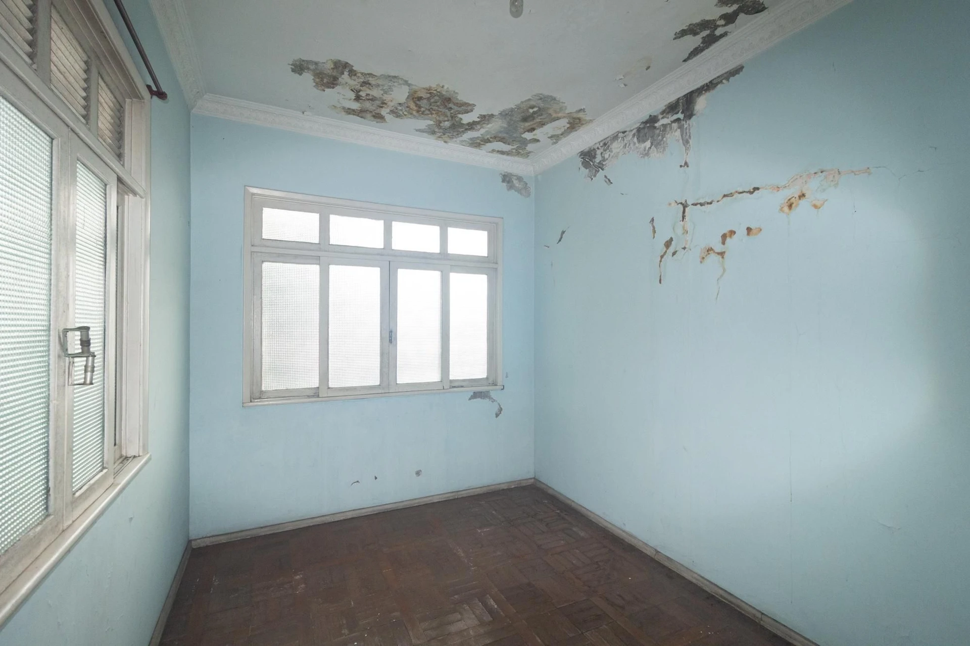 6 quartos e jardim: casa de 263 m² — photo 13