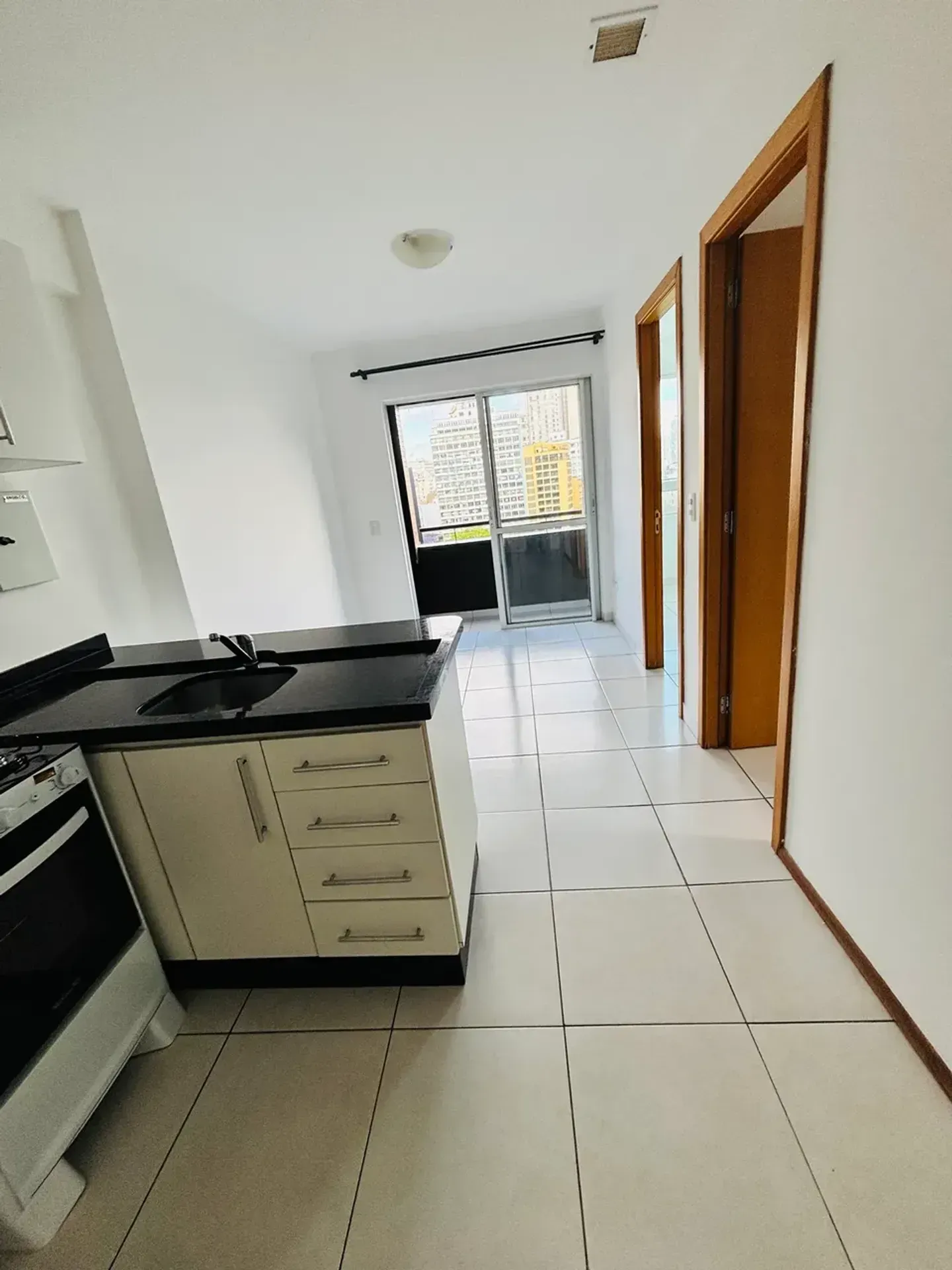 1-bedroom 1-bath apartment with a balcony — photo 38
