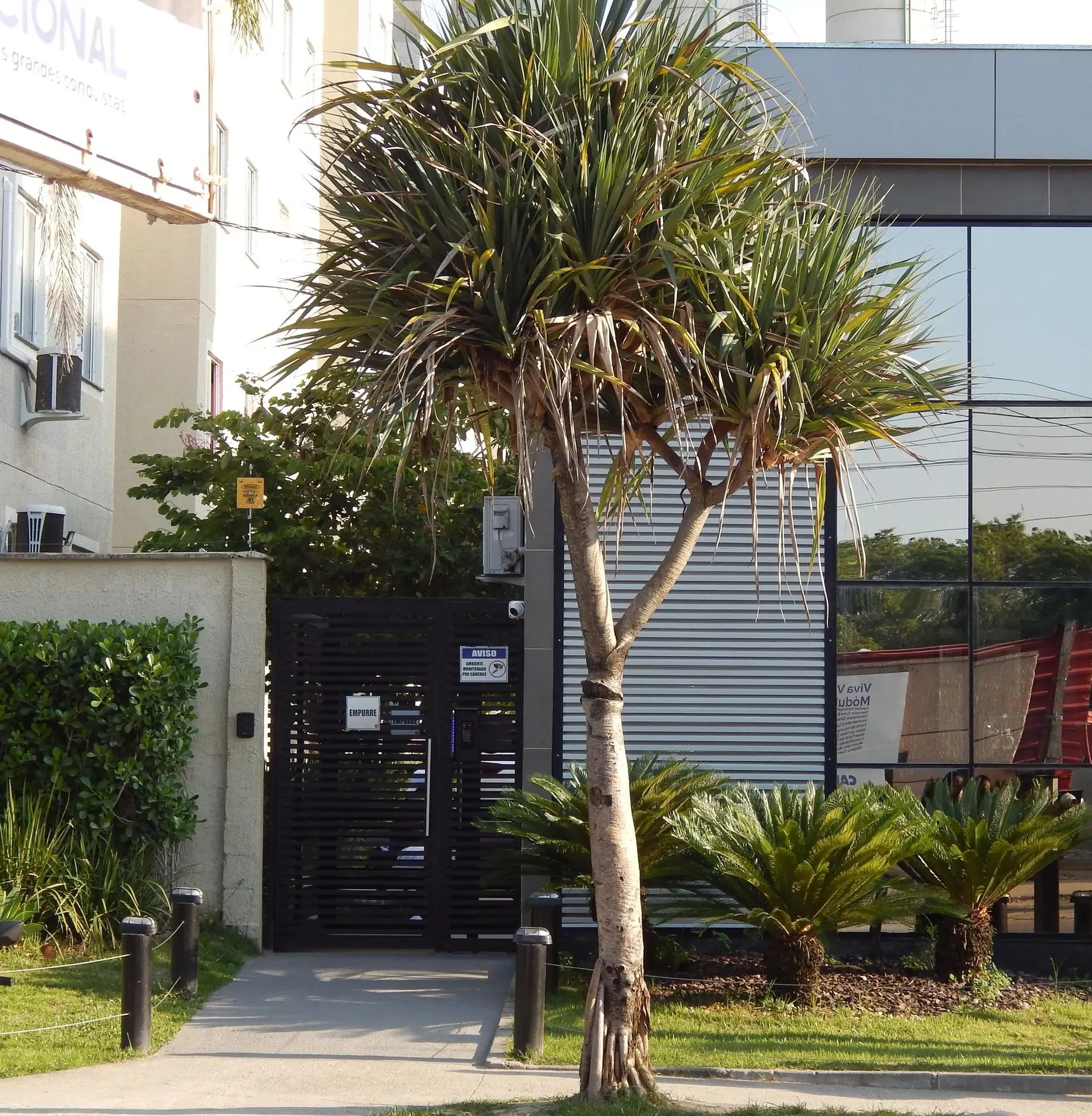 Furnished apartment, 41 m², with a washing machine — photo 38
