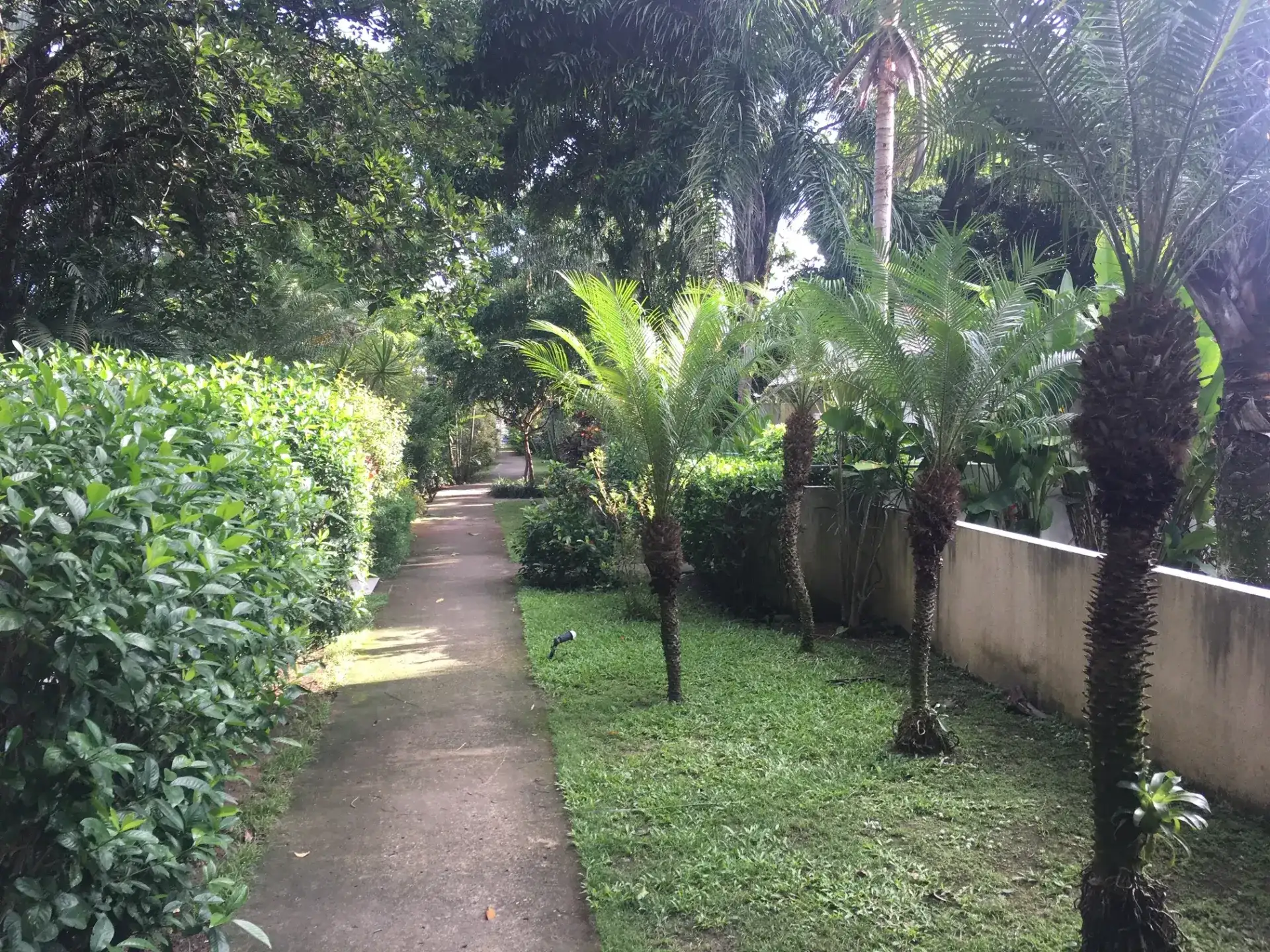 Furnished house with private garden and 1 bedroom — photo 15