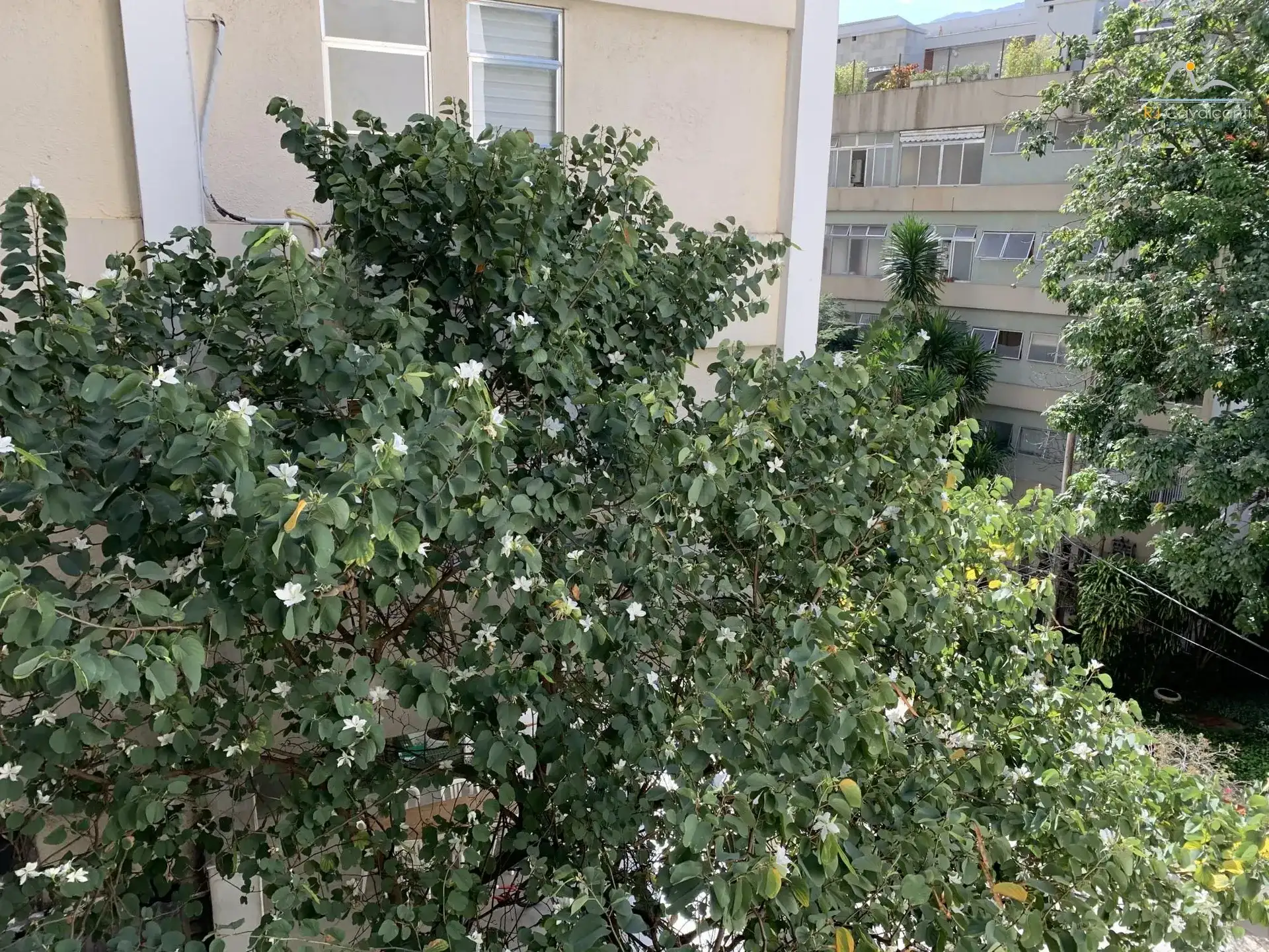 Квартира 155 м² з 3 спальнями та 3 ванними — photo 42