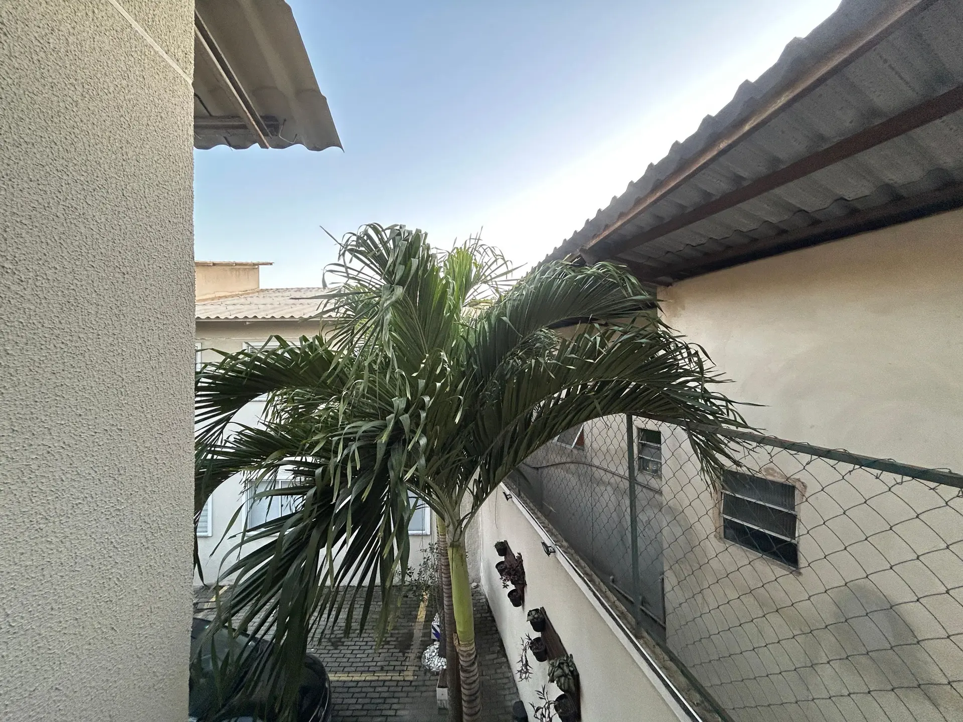 Apartamento para aluguel com 3 quartos e cozinha a gás — photo 34