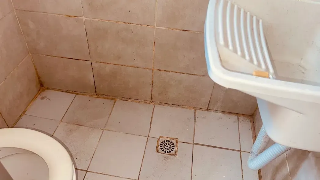 Apartamento de 1 quarto e 1 banheiro sem vaga — photo 12