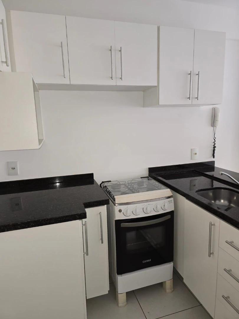 1-bedroom apartment with a compact gas kitchenette — photo 4