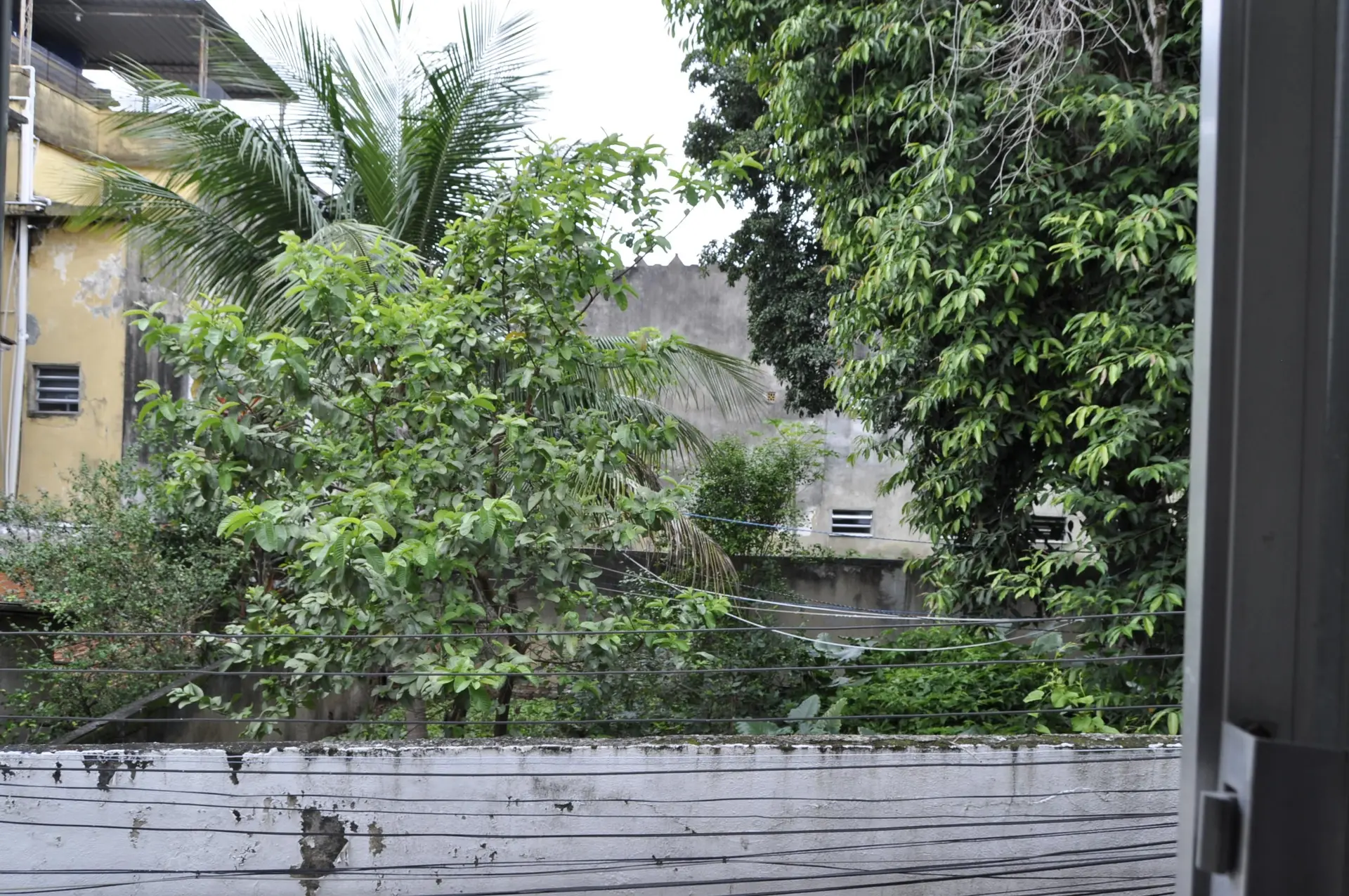 Garden in a 2-bedroom house, 50 m² — photo 19