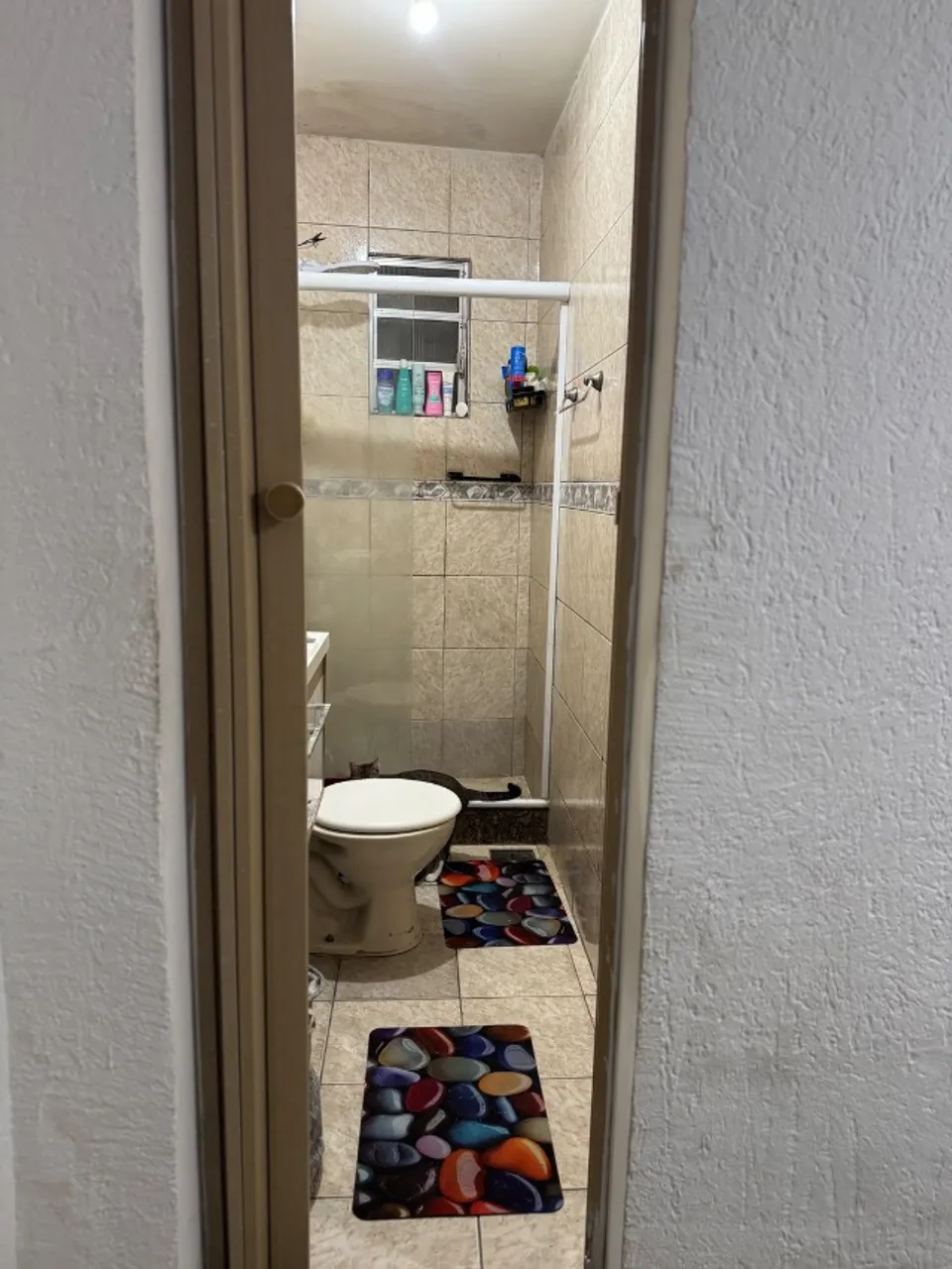 Apartamento mobiliado de 1 quarto com banho em box de vidro — photo 9