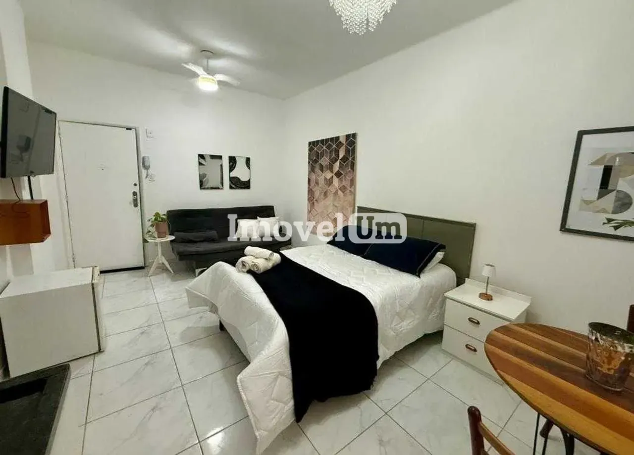 Furnished 1-bedroom apartment with compact kitchenette — photo 3