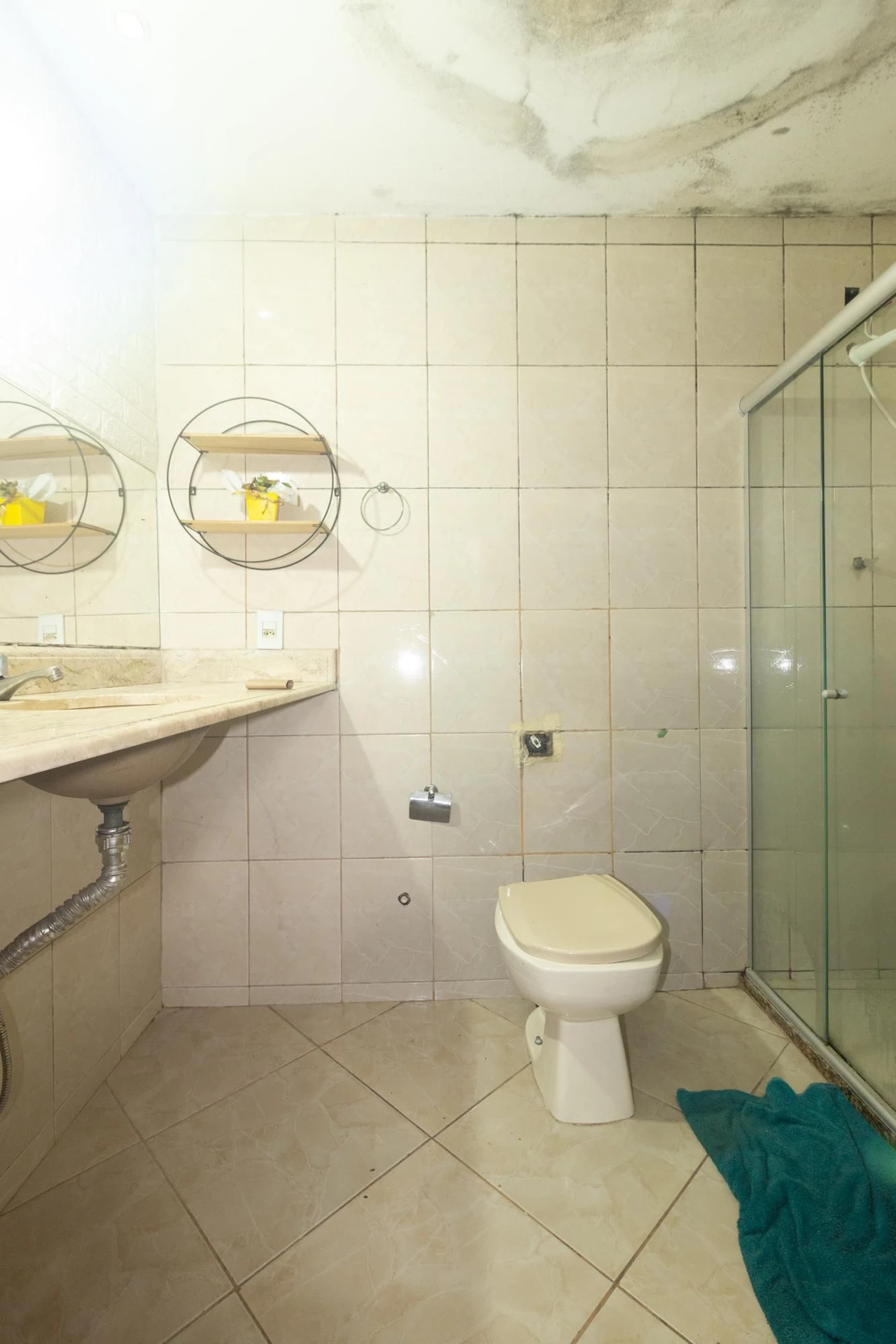 Rental house with 3 bedrooms and a private garden — photo 6