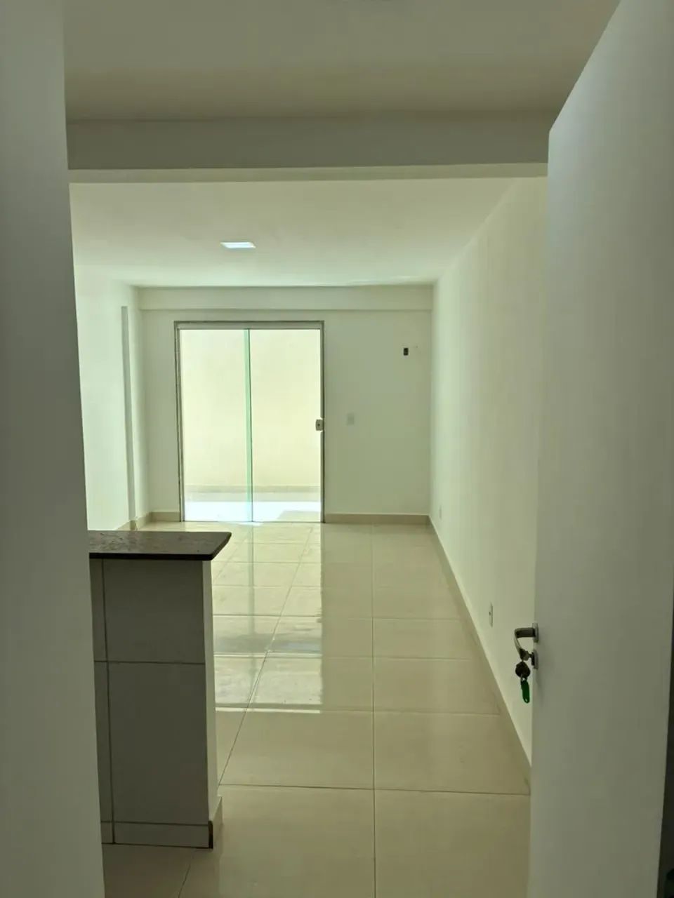 1-bedroom apartment with open-plan kitchen and balcony