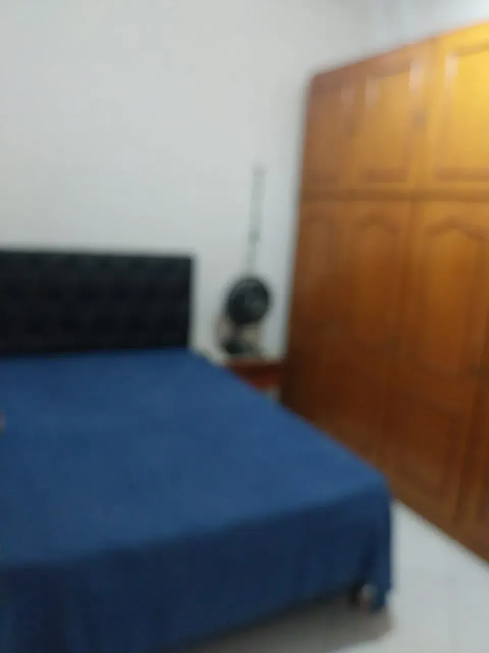Furnished 1-bedroom apartment with pets allowed — photo 10