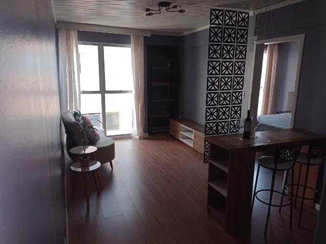 One-bedroom apartment with wood or laminate floors