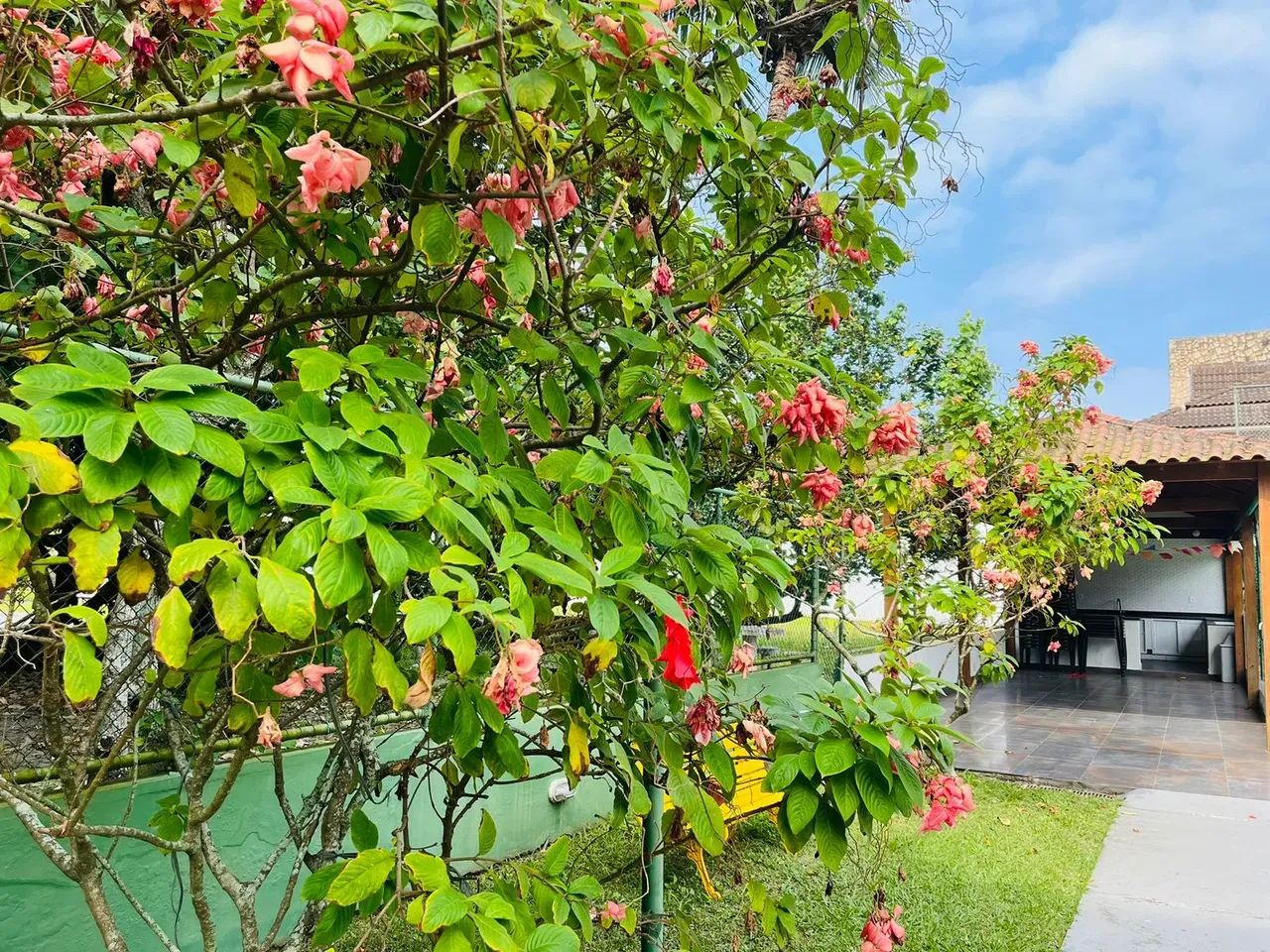 Apartamento com varanda envidraçada, Barra da Tijuca — photo 11