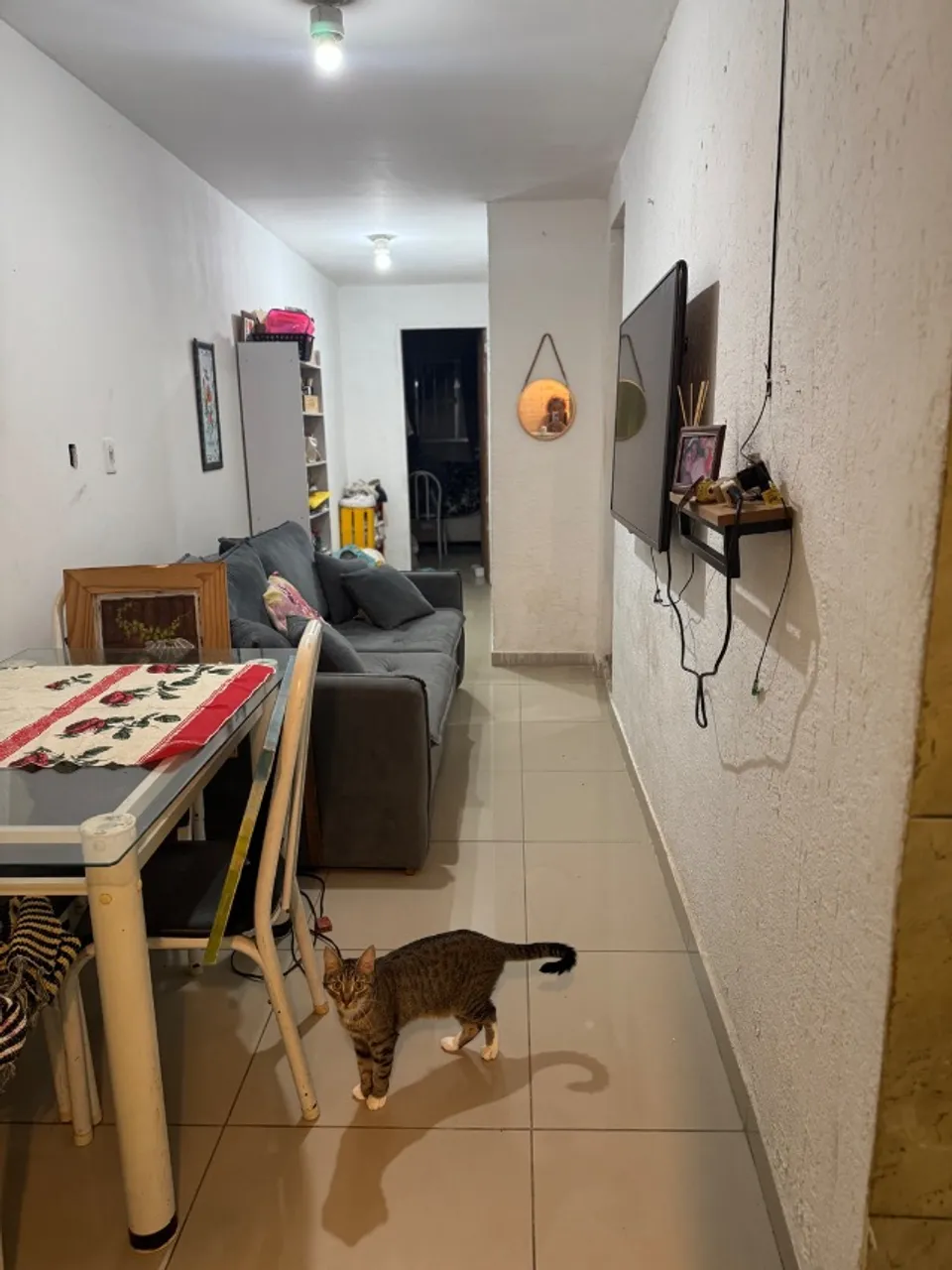 Apartamento mobiliado de 1 quarto com banho em box de vidro — photo 14