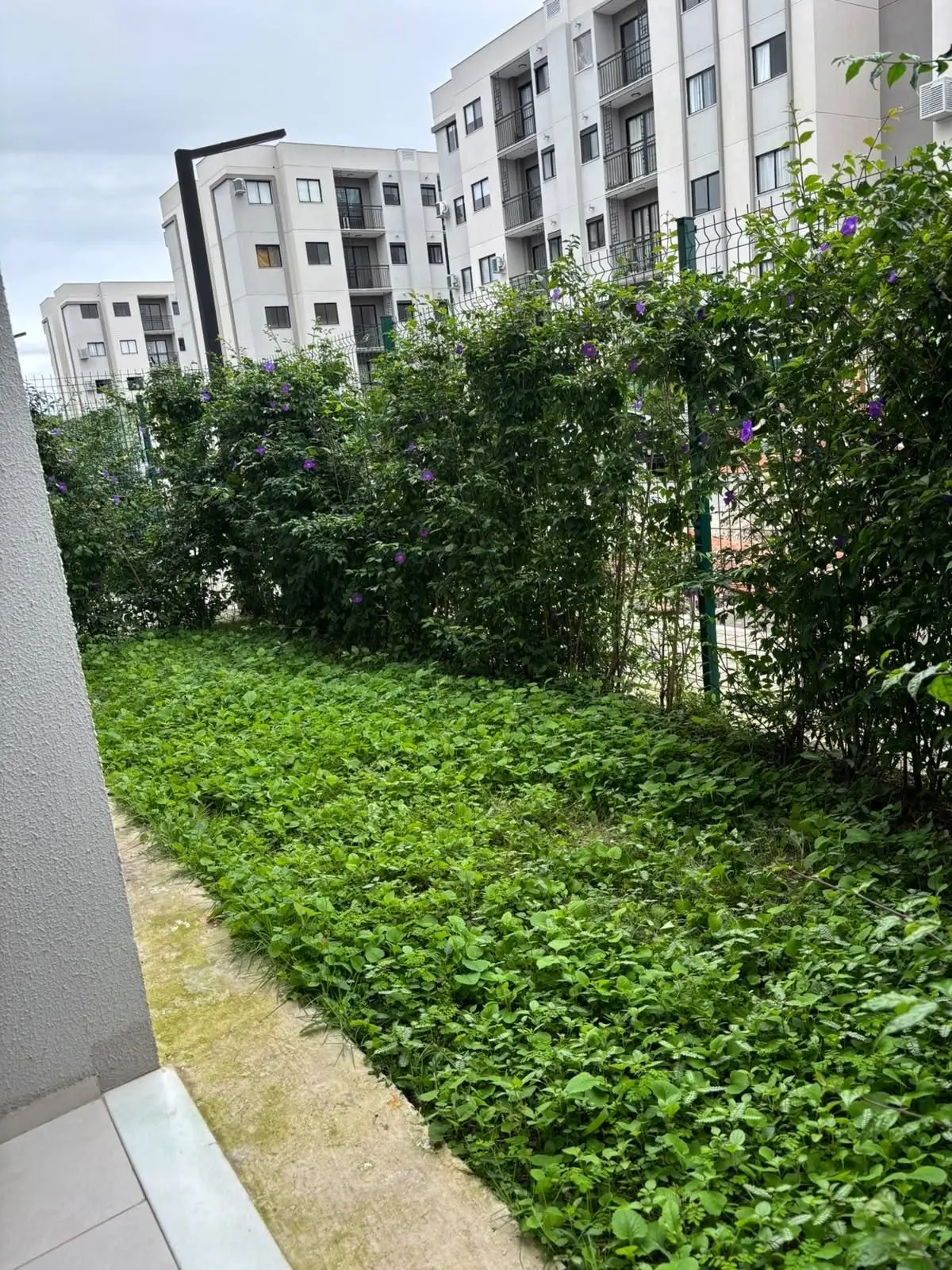 Apartamento, 67 m², com piso de madeira ou laminado — photo 11