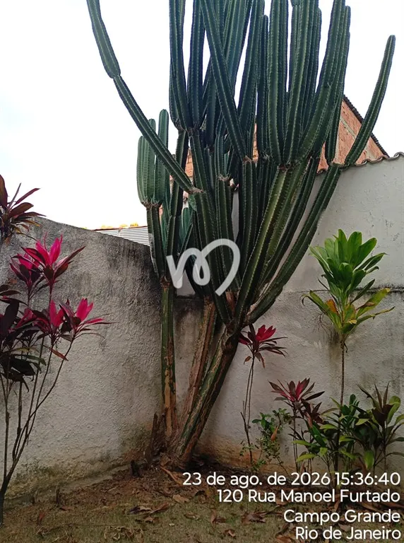 House, 257 m², with a garden — photo 14