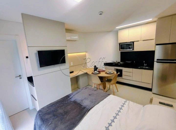 Furnished 25 m² apartment with an open-plan kitchen