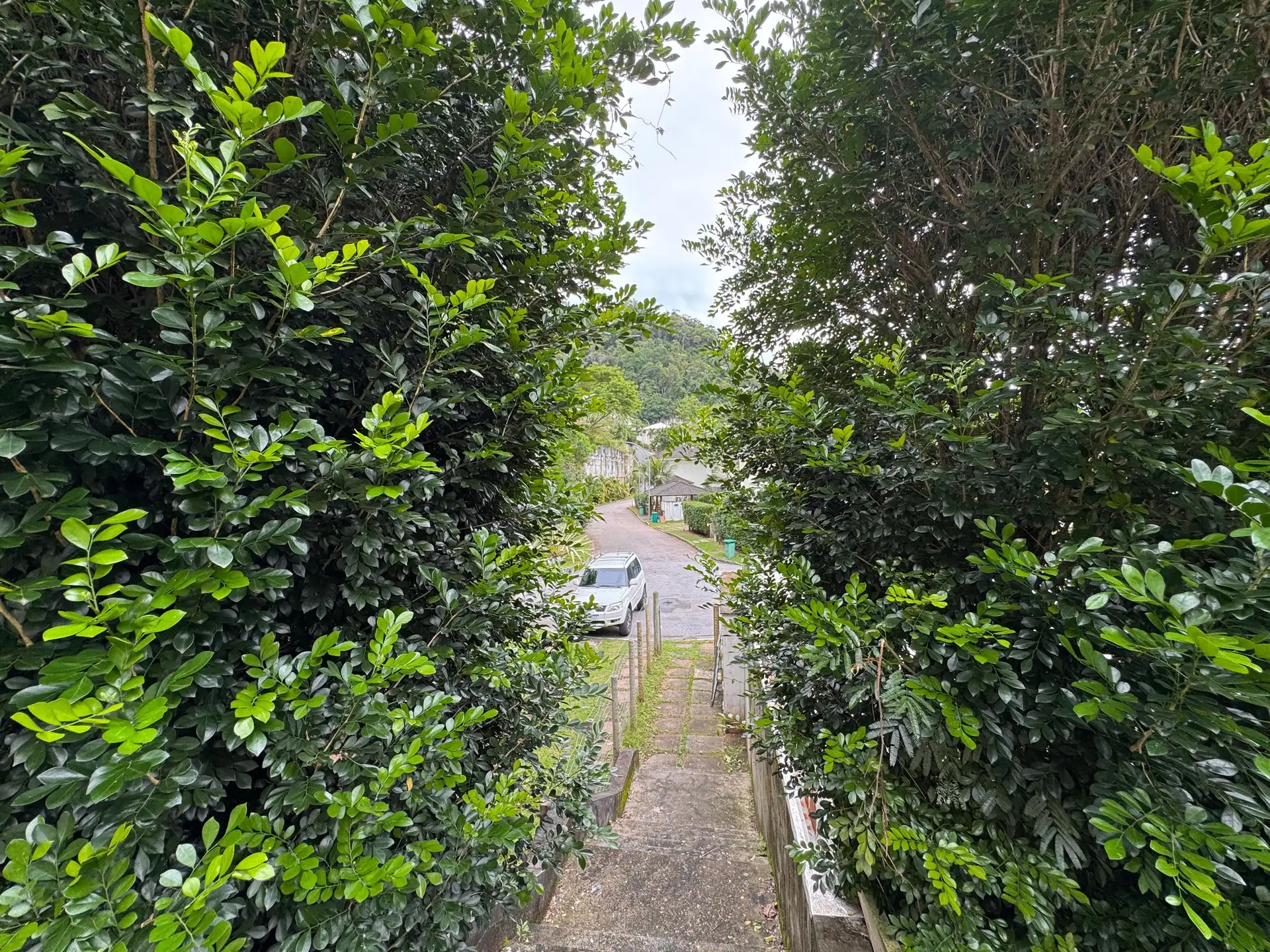 5-bedroom house with a garden in Rio de Janeiro — photo 24