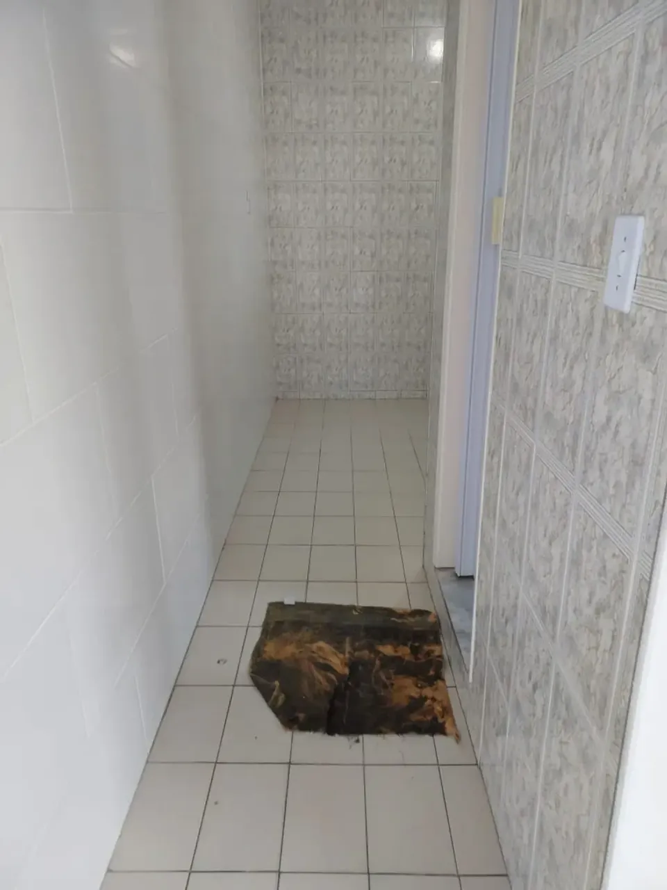 Unfurnished 1-bedroom apartment with a closed kitchen — photo 16