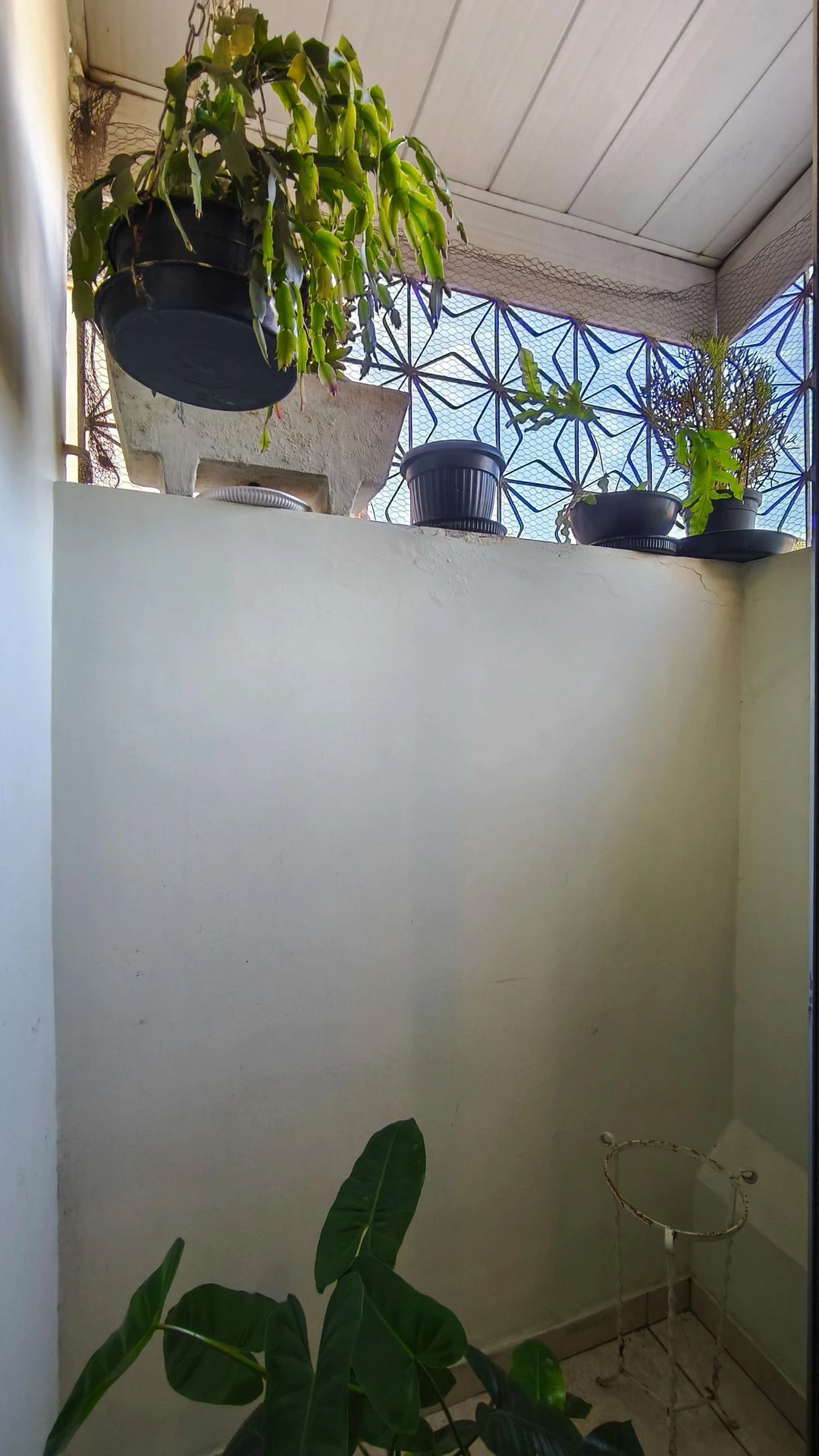Apartamento de 3 quartos com cozinha separada e 2 banheiros — photo 13