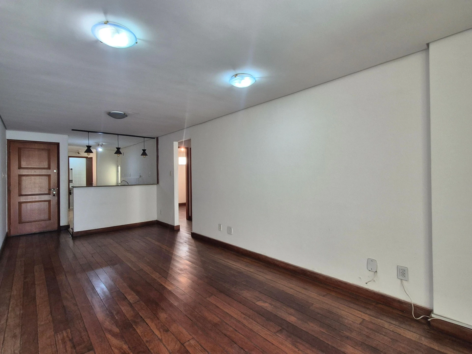 Apartamento com 2 quartos, suíte e varanda com animais — photo 24