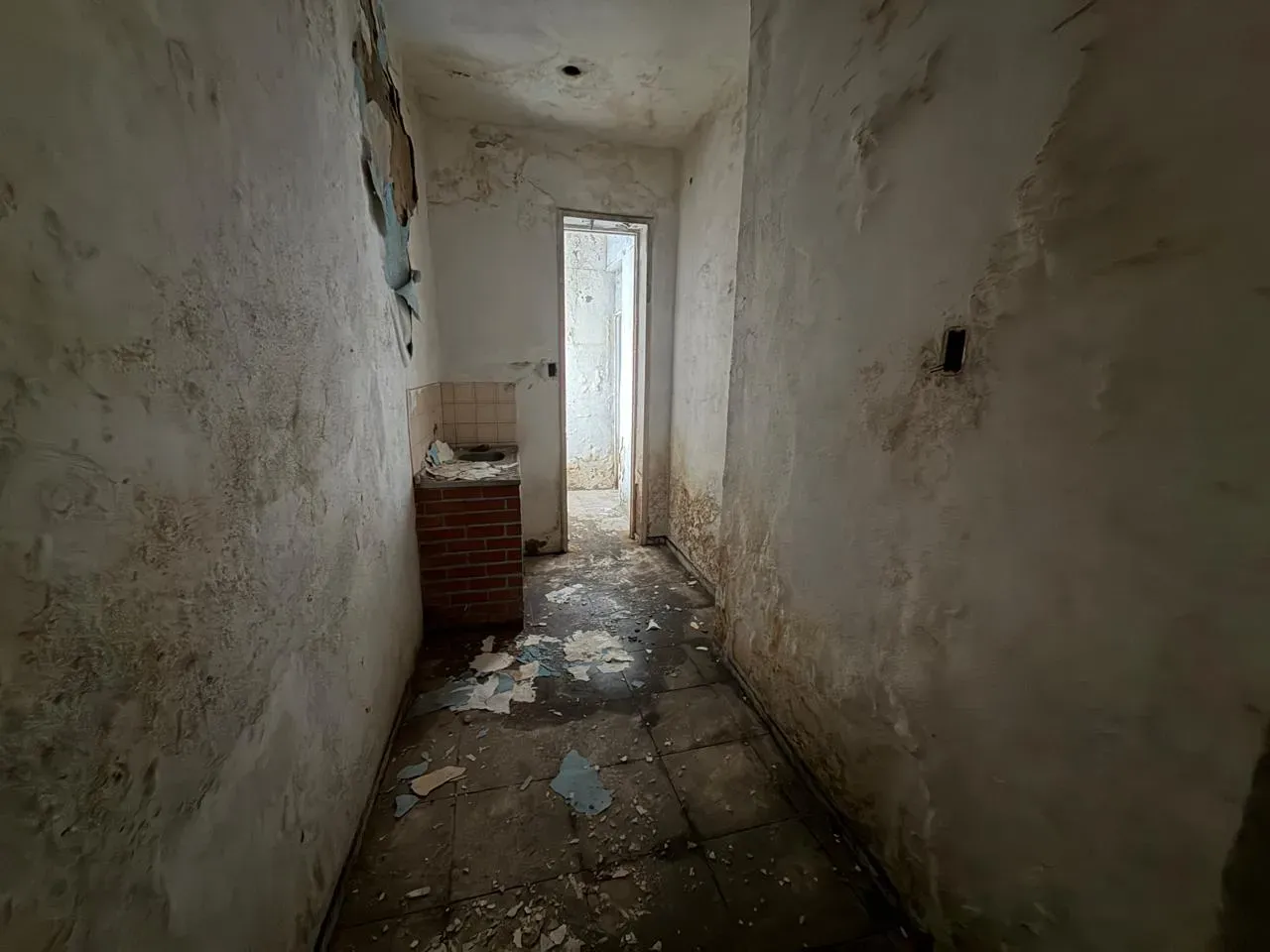 Будинок: 3 спальні, 315 м² — photo 7