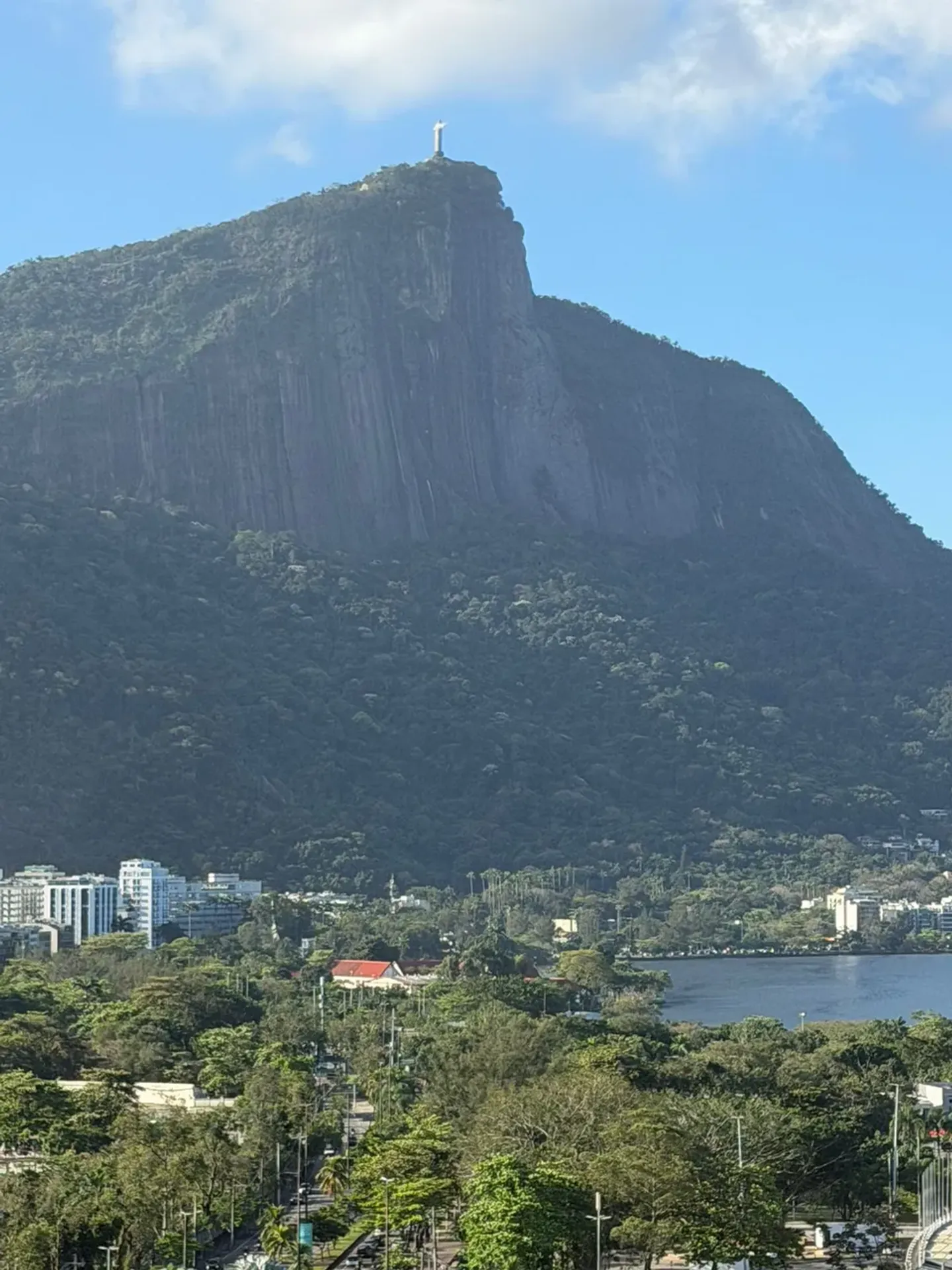 3-bedroom apartment with a home office in Rio de Janeiro — photo 12