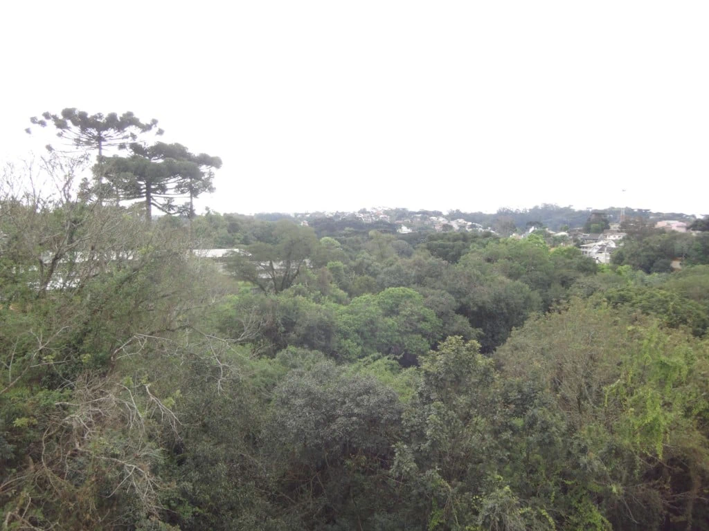 Apartment, 100 m², with a park view — photo 21