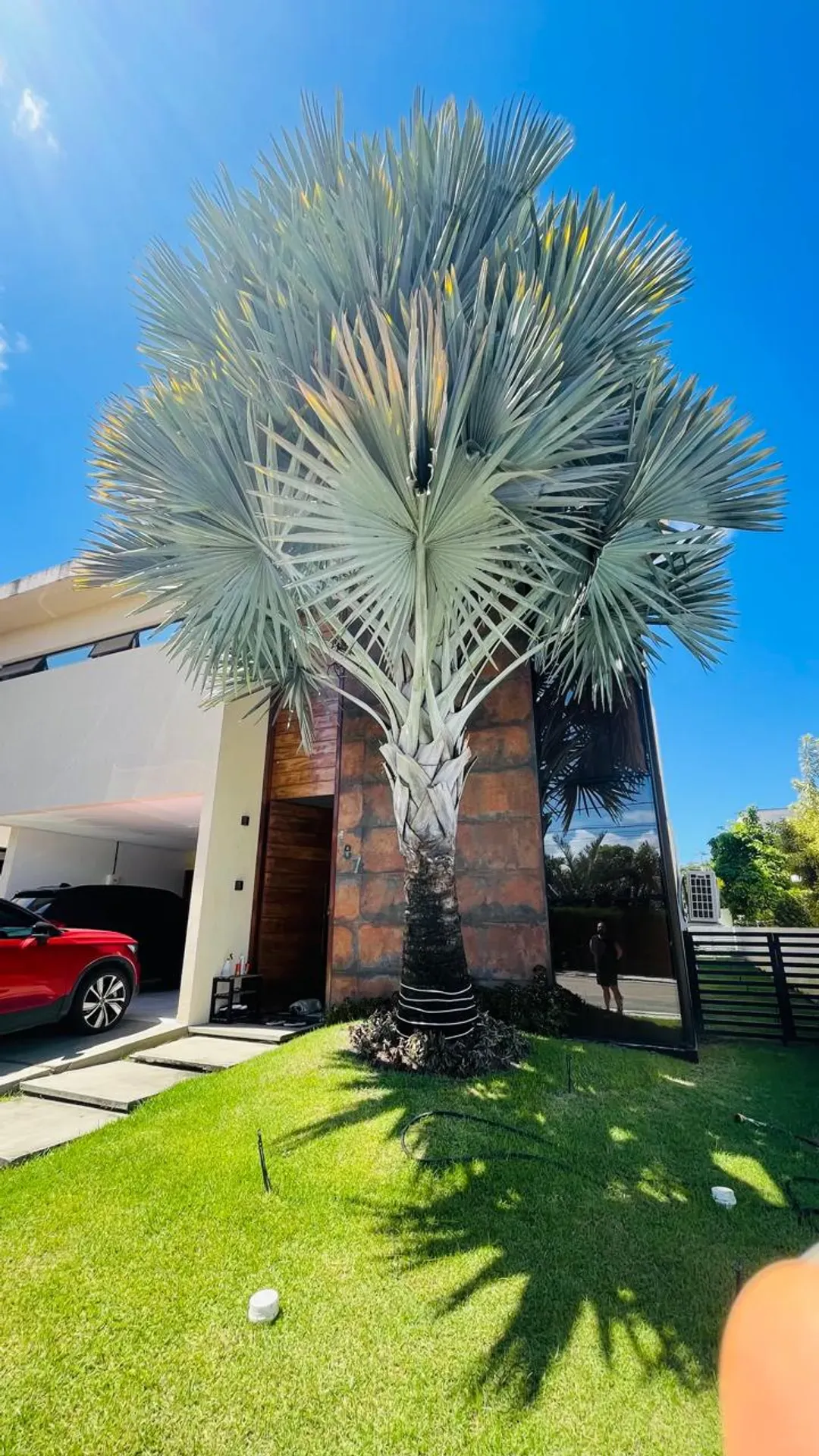 Furnished house with 4 en-suite bedrooms and 481 m² — photo 7