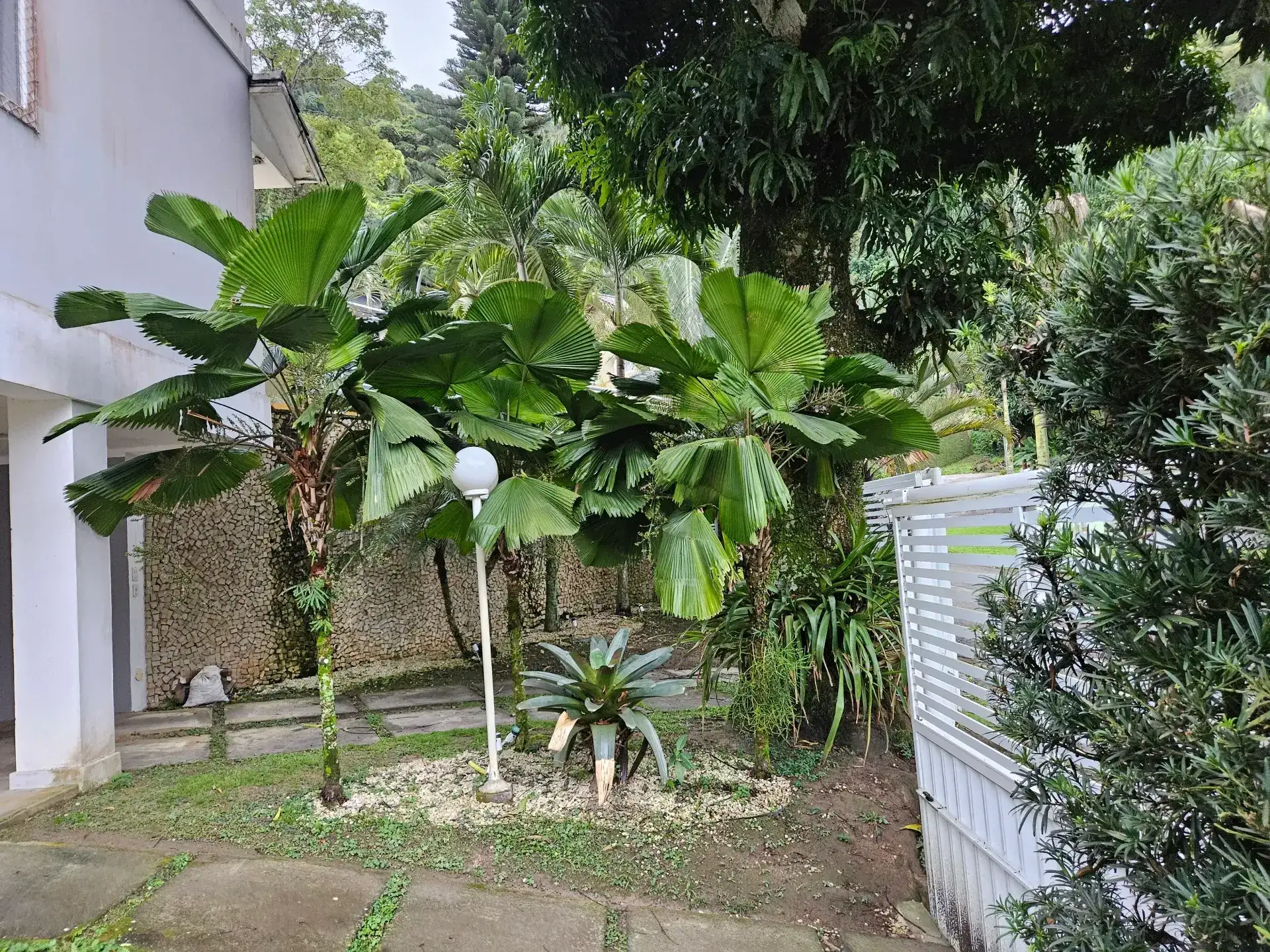 6 quartos e janelas do piso ao teto: casa de 504 m² — photo 36